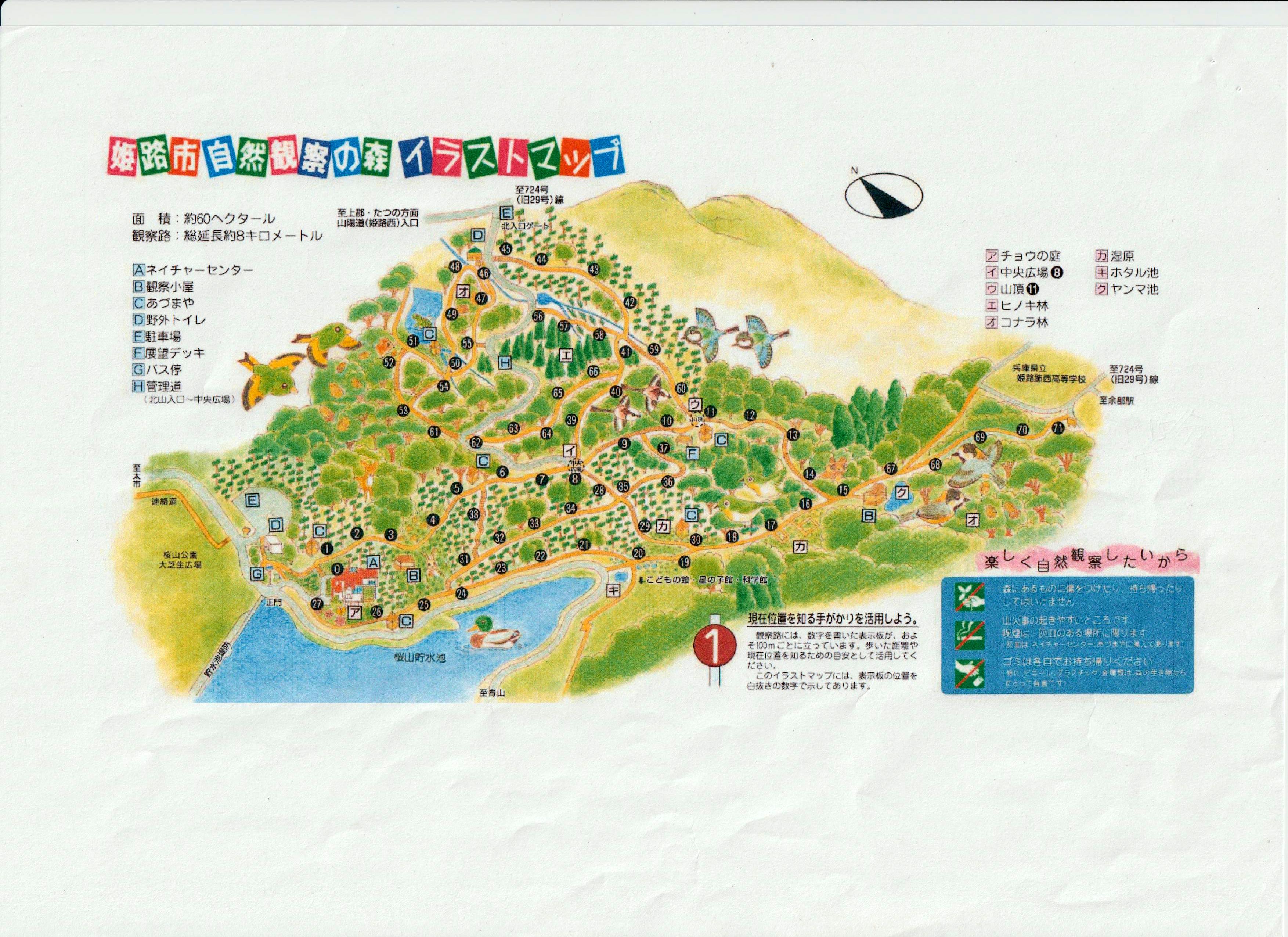 姫路市自然観察の森バードウォッチング おたかさんさんの明石市 加古川市 高砂市の活動データ Yamap ヤマップ