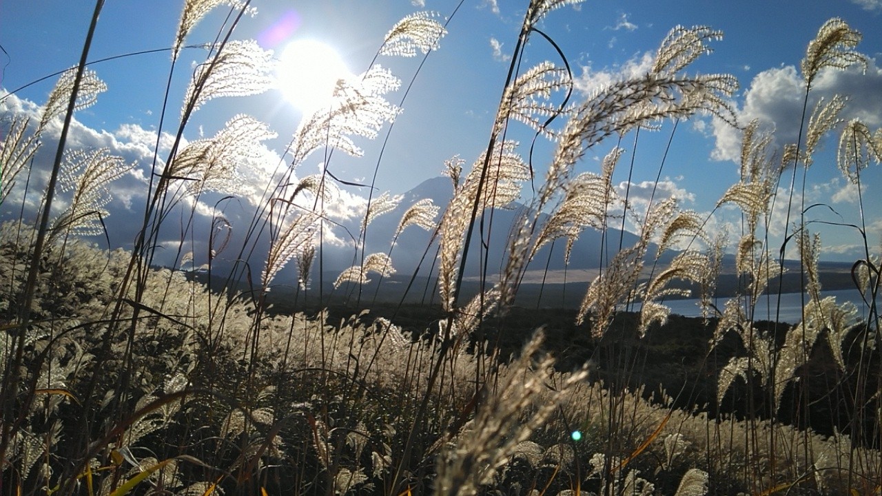 三国山ハイキング 富士山 ススキと山中湖の共演 やっさんさんの三国山 神奈川県 山梨県 静岡県 の活動データ Yamap ヤマップ