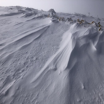 霧ヶ峰・車山・大笹峰 初めて生で見るシュカブラに感動！