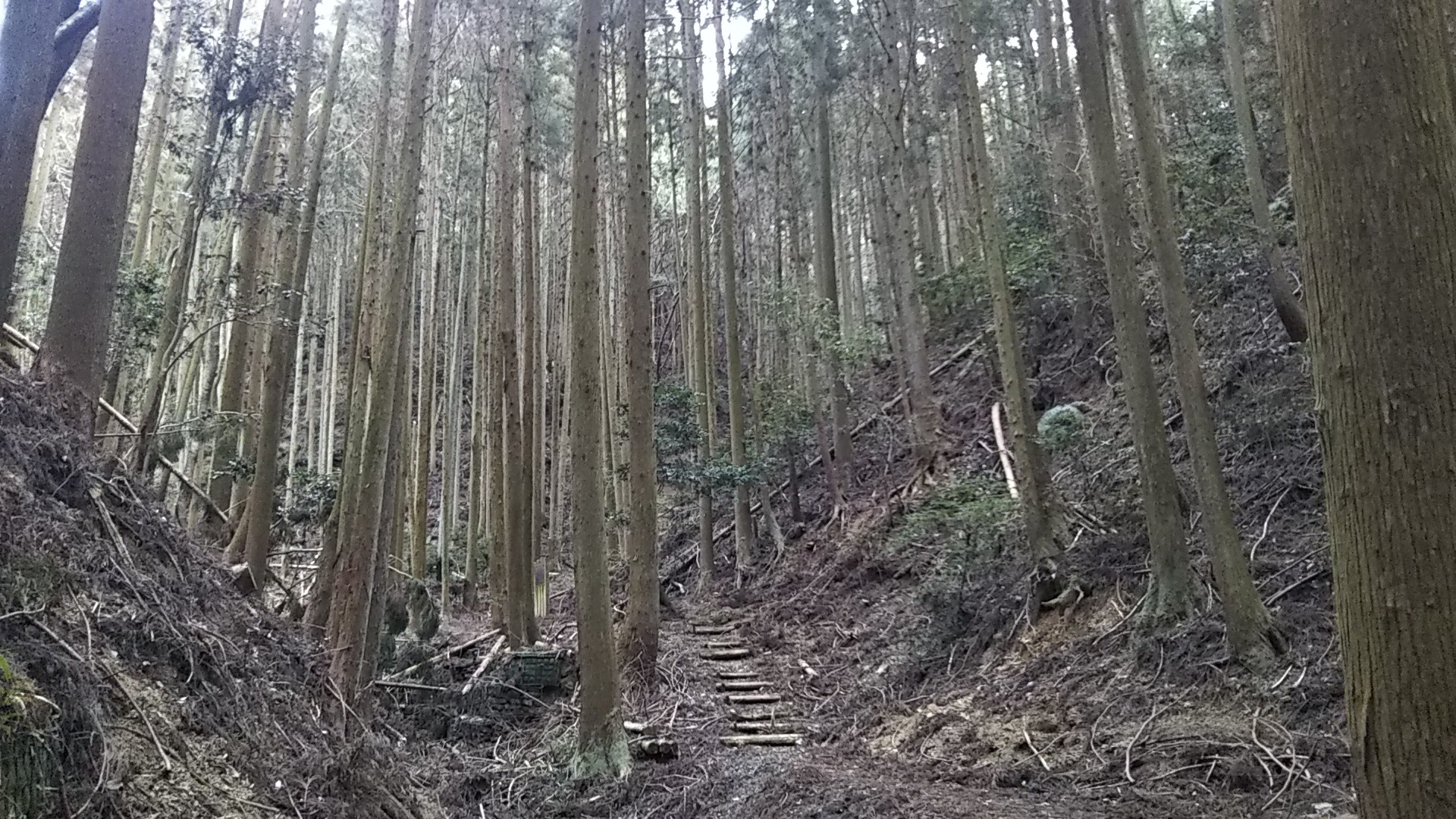 阪急池田 阪急北千里 北摂縦走に行ってきた えむけんさんの六個山 鉢伏山 明ヶ田尾山 五月山の活動データ Yamap ヤマップ