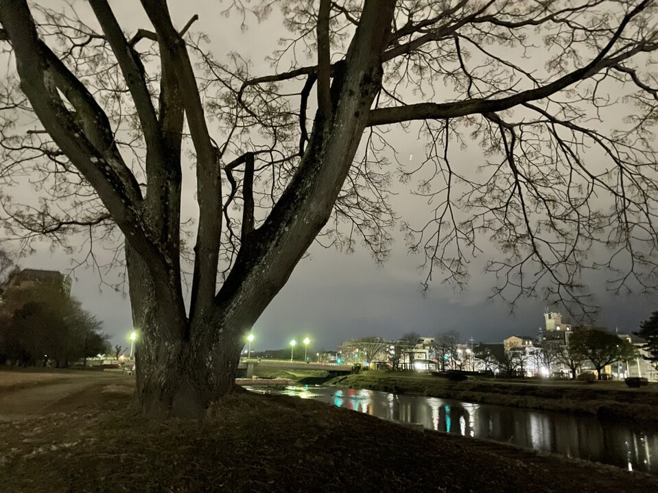 深夜ウォーキングを求めて 京都一周トレイルの写真28枚目 いい Yamap ヤマップ