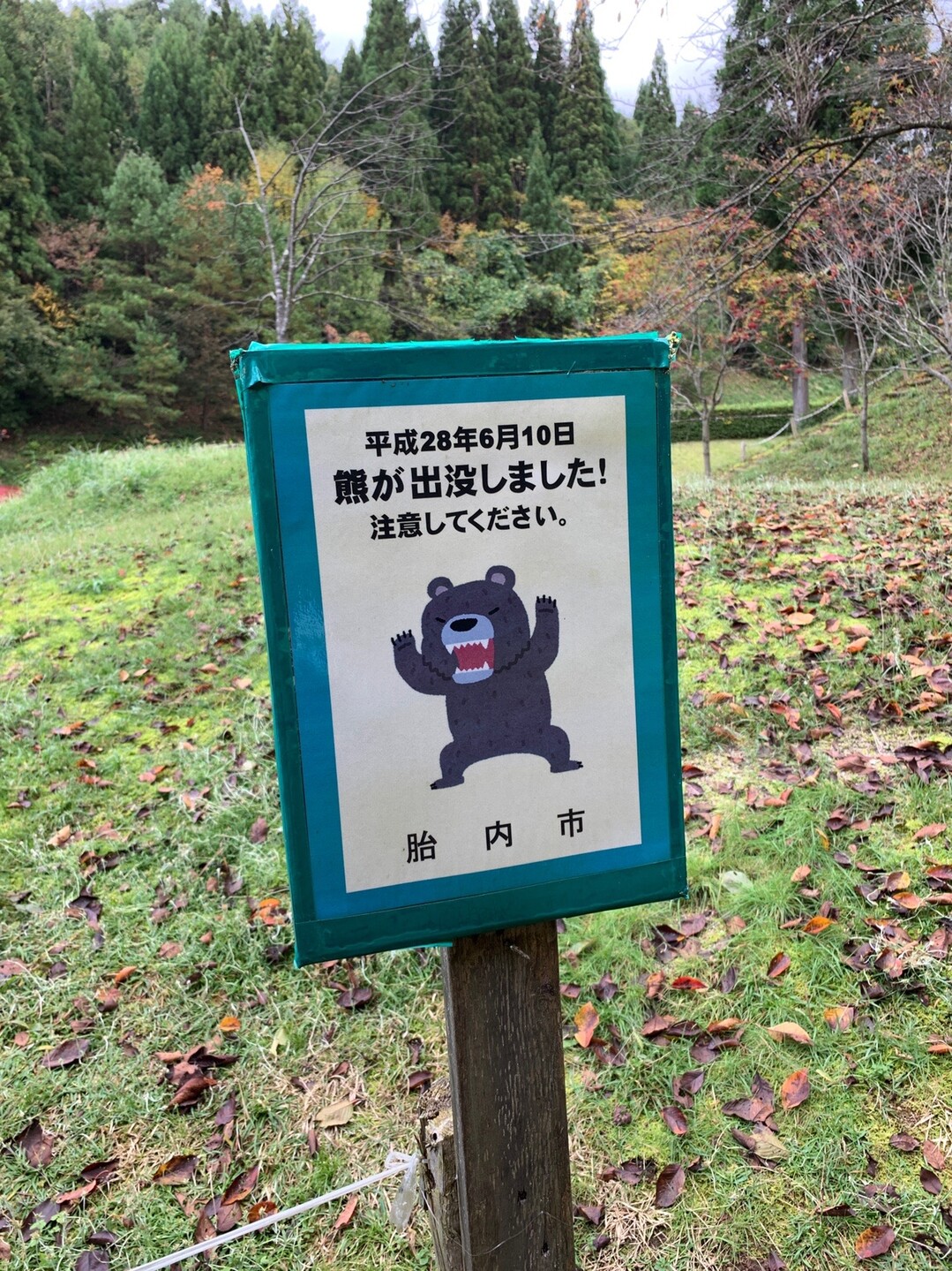 隊長 隊長いないと熊怖いですʕ ᴥ ʔ 19 10 30 隊長の背中さんの櫛形山 鳥坂山 大峰山 櫛形山脈 の活動日記 Yamap ヤマップ