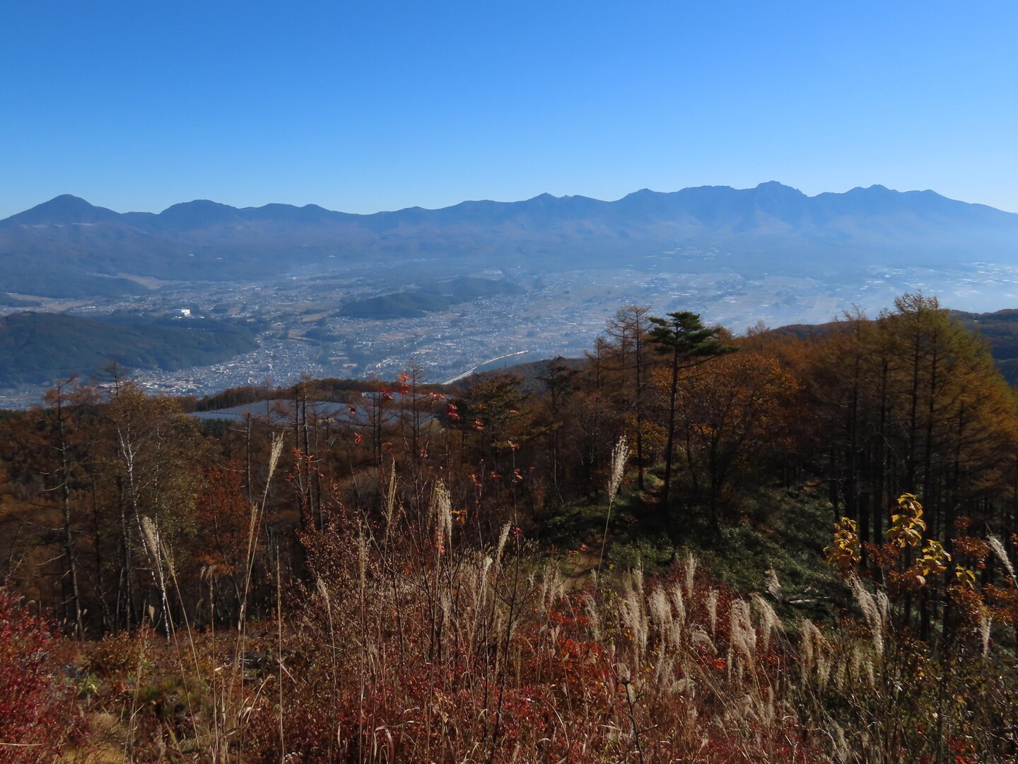 守屋山 / ペーターさんの守屋山の活動データ YAMAP / ヤマップ