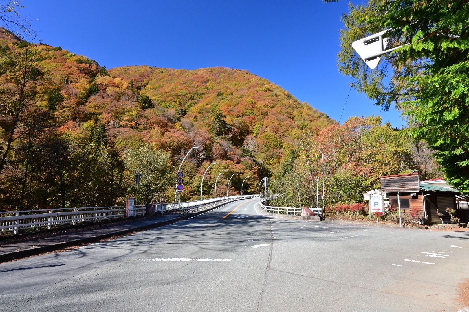 西沢渓谷 美しい紅葉の写真を撮りたくて 19 11 08 ふくちゃんさんの甲武信ヶ岳の活動日記 Yamap ヤマップ