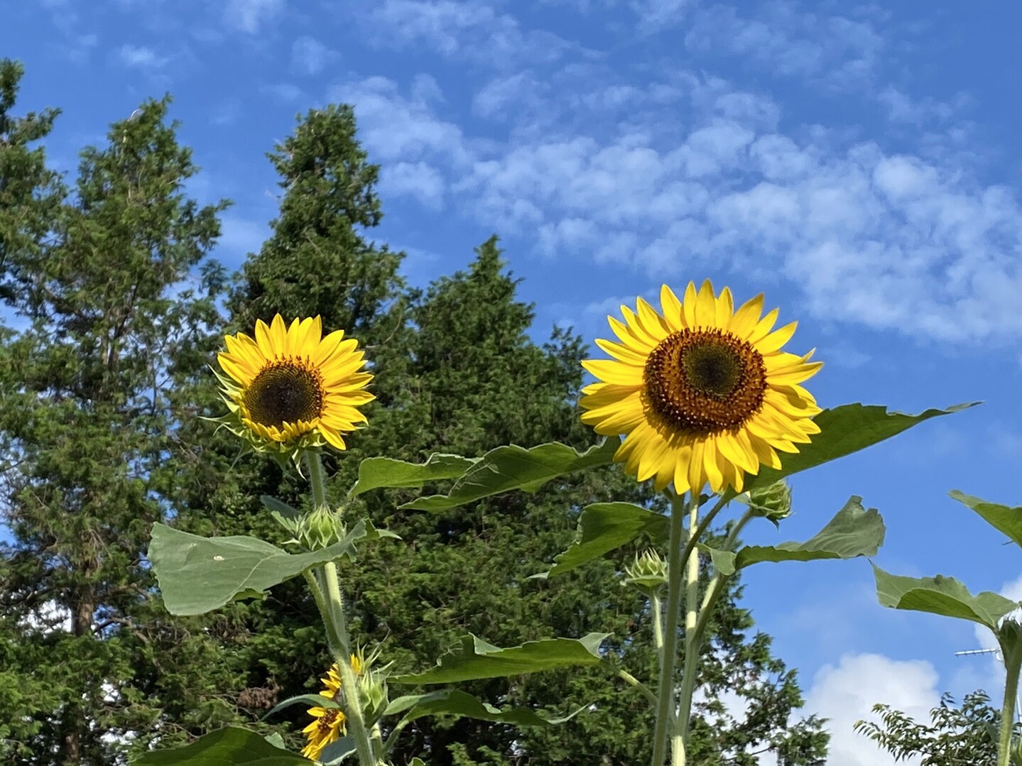 日光東往還＃1(水戸街道追分〜中里) / ちゃまさんのウォーキングの活動データ YAMAP / ヤマップ