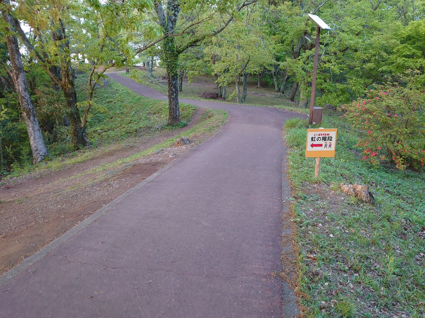 虹の階段 段数数えチャレンジ２ 鏡山 領巾振山 K Yoshidaさんの鏡山の活動日記 Yamap ヤマップ