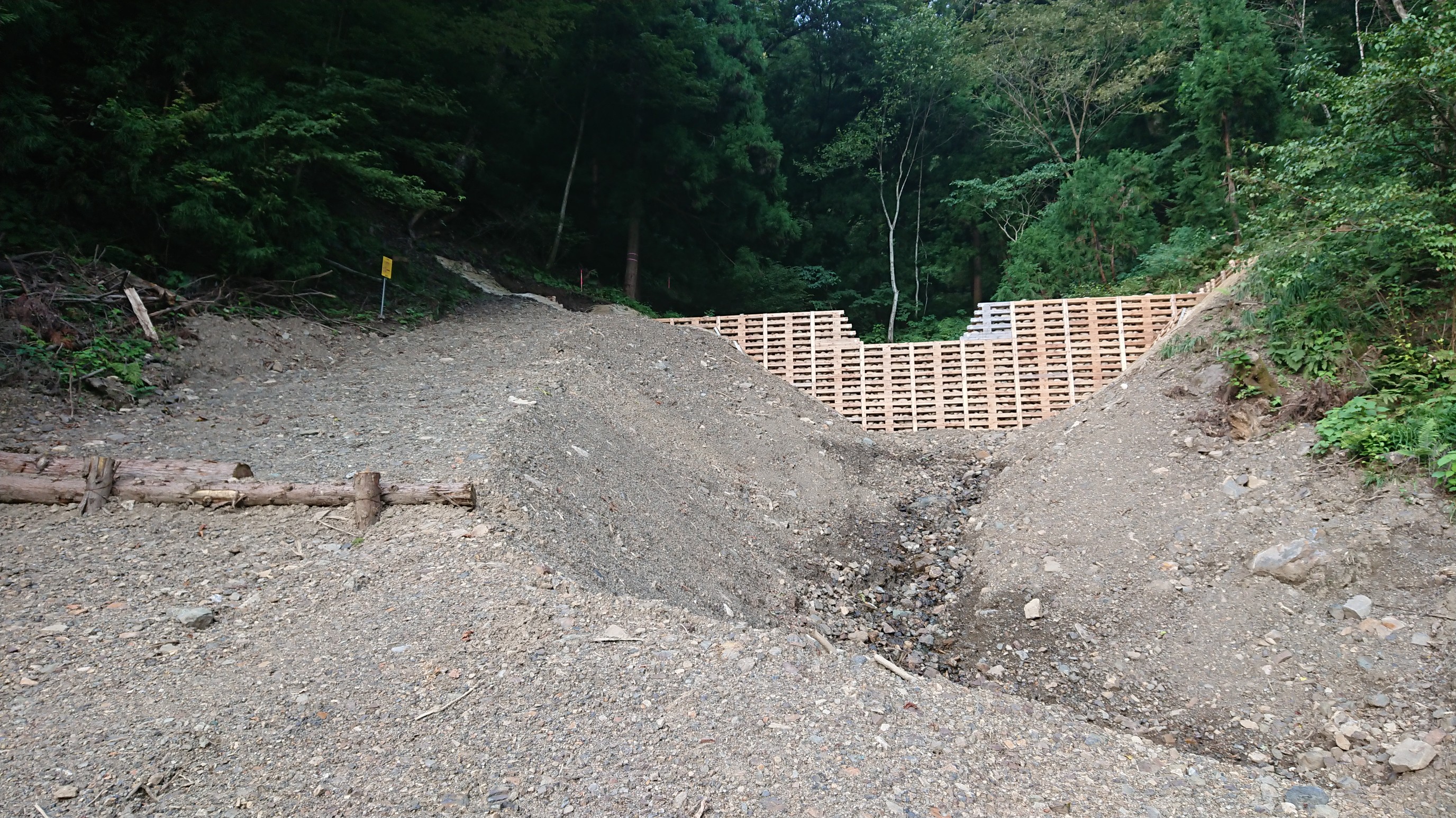 木六山・銀次郎山 重機が入ったおかげでヒルのいそうなところが整地されちゃいました。