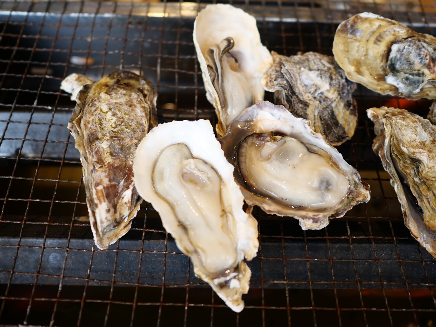 カキ小屋で豊前牡蠣焼き焼き くにさんさんのモーメント Yamap ヤマップ
