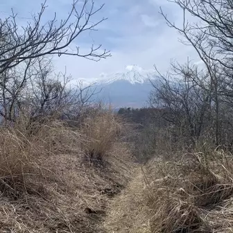 飯盛山からも富士山よく見えます。