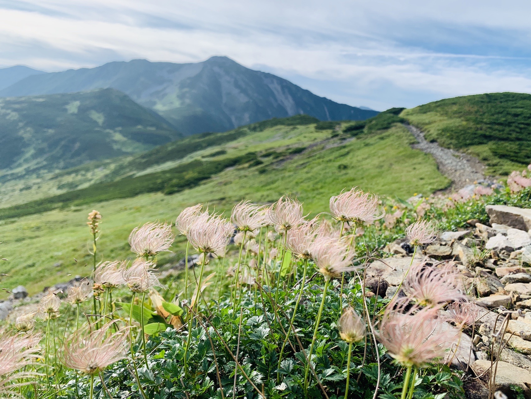 黒部五郎岳 中ノ俣岳 太陽さんの水晶岳 薬師岳 黒部五郎岳の活動データ Yamap ヤマップ