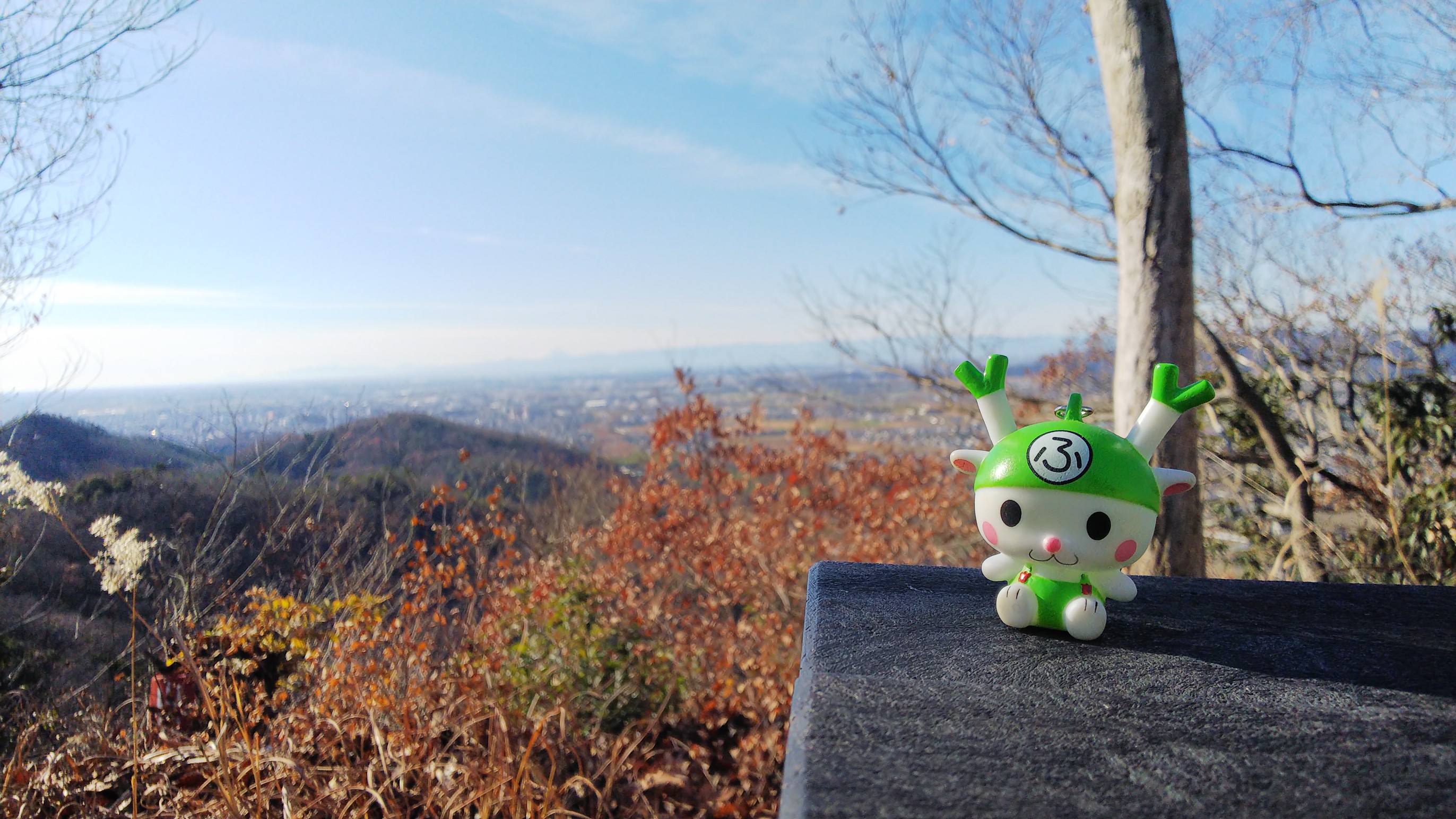 唐沢山 栃木県佐野市 けぅ 心の病気に負けない さんの太平山 晃石山 唐沢山の活動データ Yamap ヤマップ