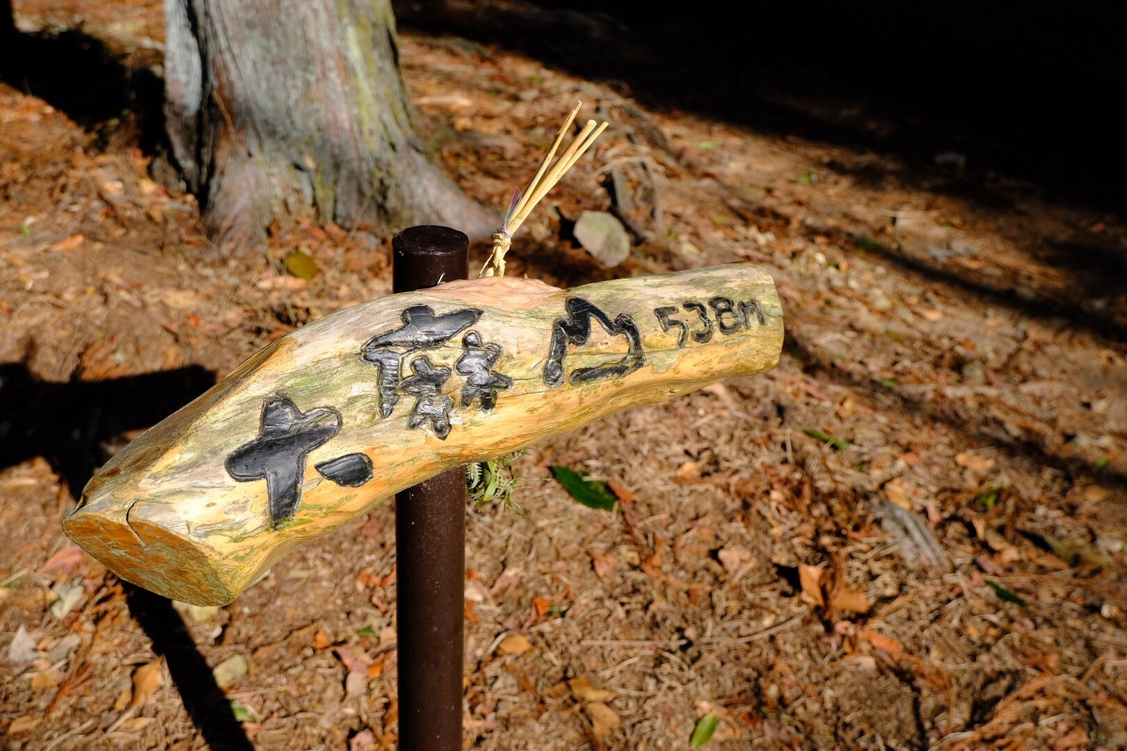 大麻山(徳島県鳴門市) 大麻比古神社(阿... / スローライフさんのモーメント YAMAP / ヤマップ