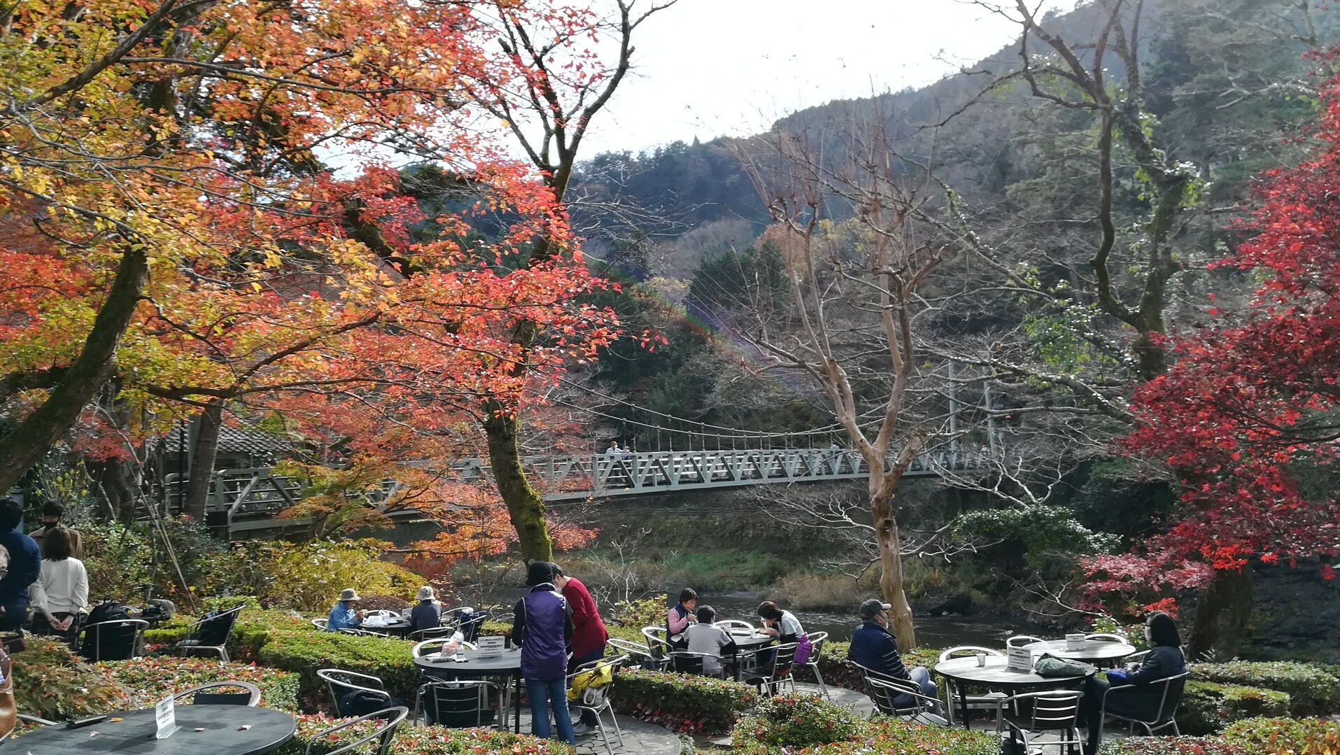 御岳渓谷の紅葉 11 26 にくじゃがさんの大岳山 御岳山 御前山の活動データ Yamap ヤマップ