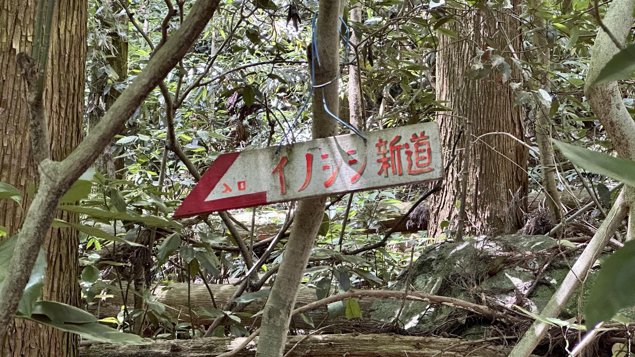 やっと行けたよイノシシ新道 立花山・大一足・小一足 / まめさんの立花山・三日月山・城ノ越山の活動データ YAMAP / ヤマップ