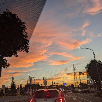 かいなぎのもも