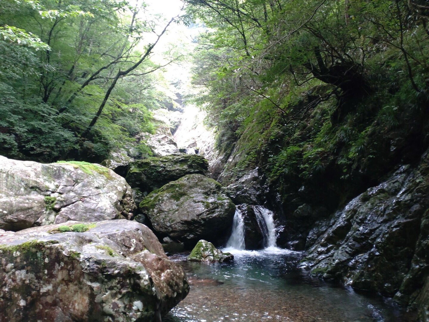 【沢登り】右又谷〜逆峠〜笙ノ峰〜小処温泉〜クラガリ股谷周回 / 玄米菜食さんの大台ヶ原山・日出ヶ岳・大杉谷の活動データ YAMAP / ヤマップ