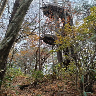 かと思いきや階段の先は神社で、さらに奥に山頂があった。
展望台つきだけど、木々の成長が展望台に追いついちゃってる感じがする。