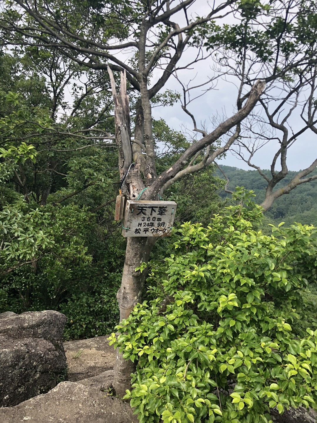 王滝渓谷〜宮川散策道〜天下峰〜梟城址-2019-07-07 / NDさんの豊田市（中心エリア）の活動日記 | YAMAP / ヤマップ