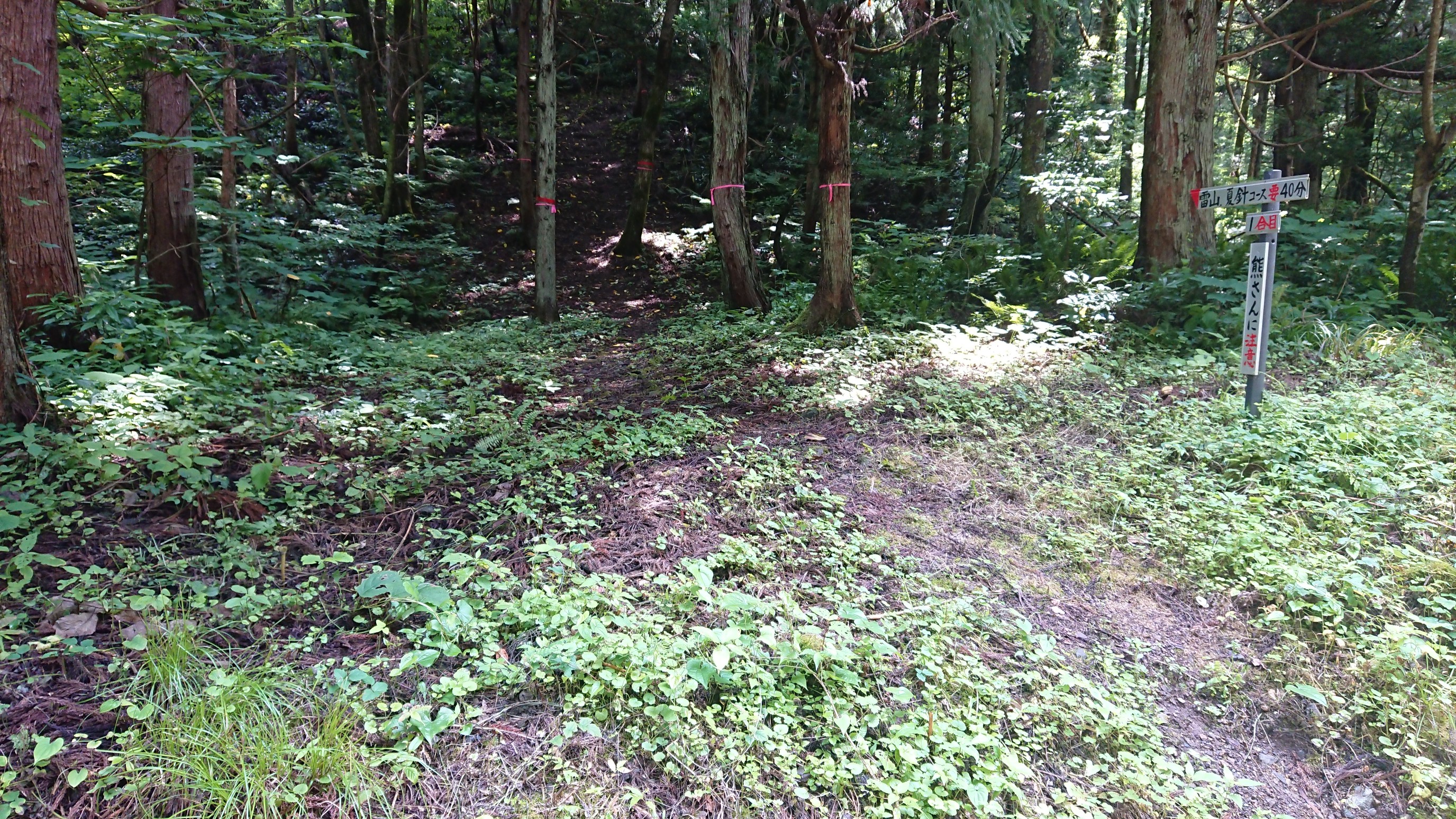 木六山・銀次郎山 雷山登山口
地元の方の草刈りに感謝