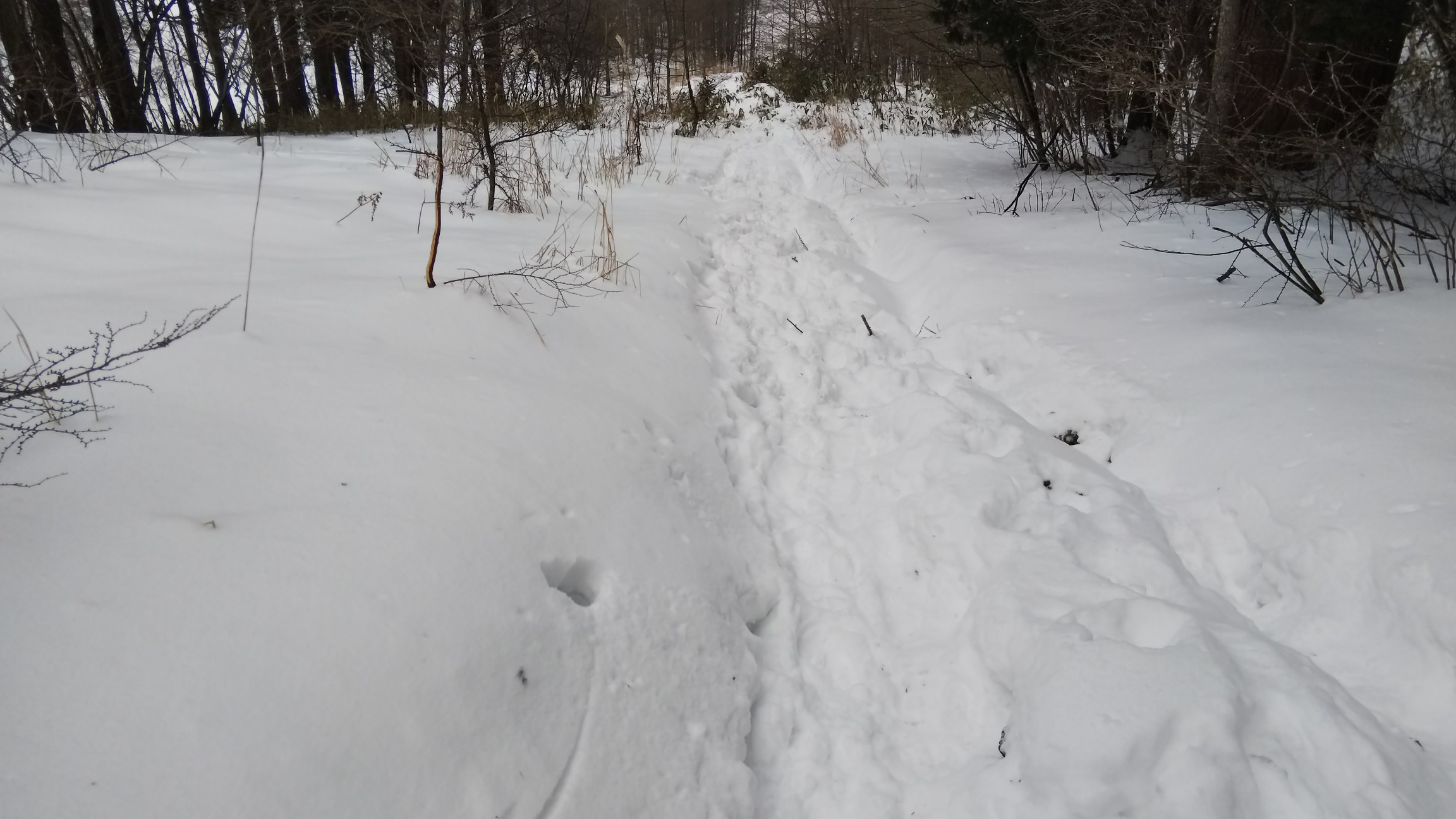 ただし、それもほんの少しの間～