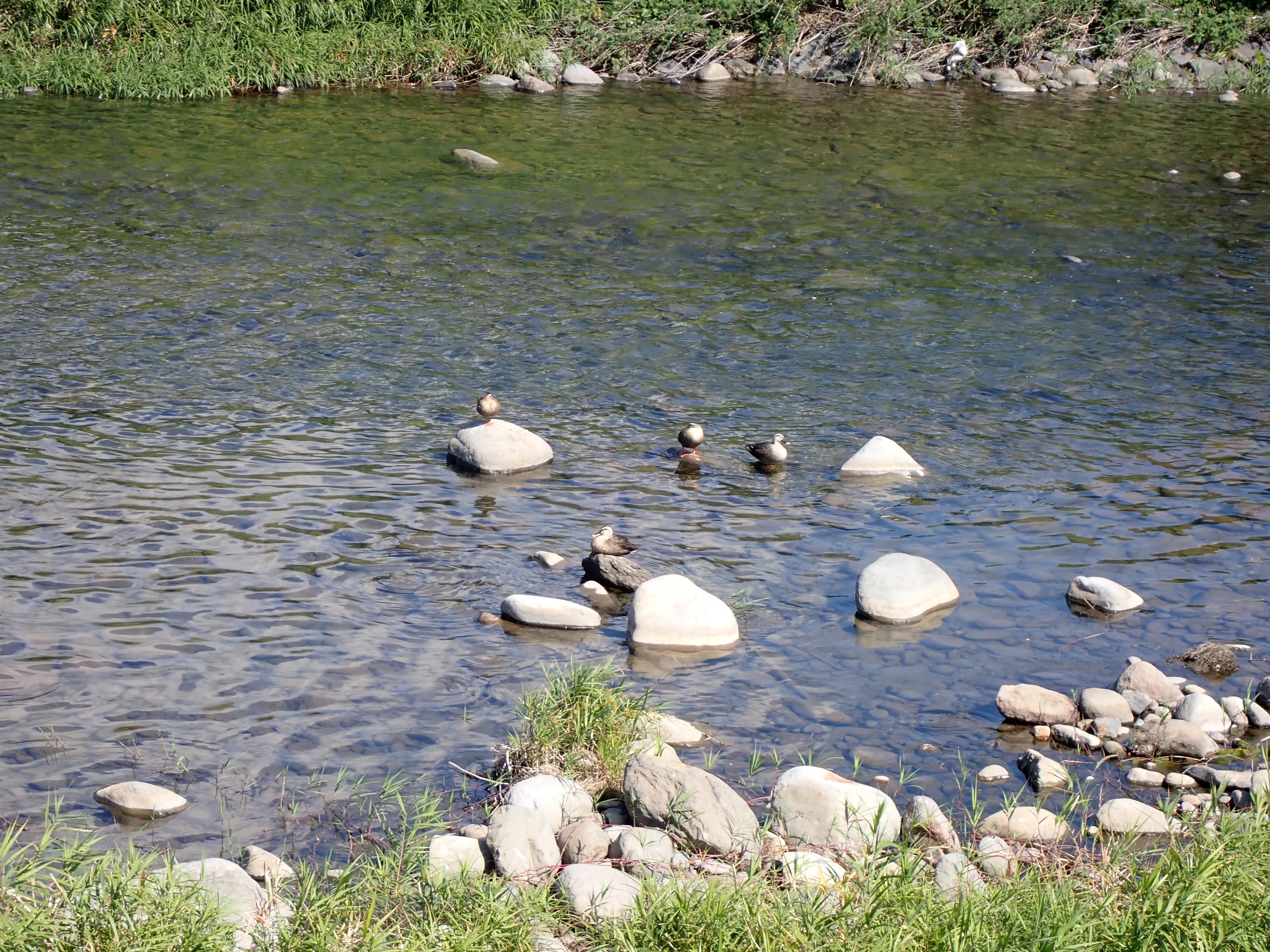 241 今回は長崎県大村市にお邪魔しました！ 大村Sta.～黒木BS / うぉー 