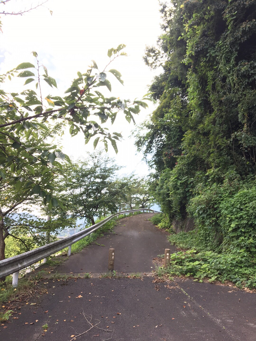 初めての 弁財天山 鯖江市 のっぽ さんの鯖江市の活動日記 Yamap ヤマップ