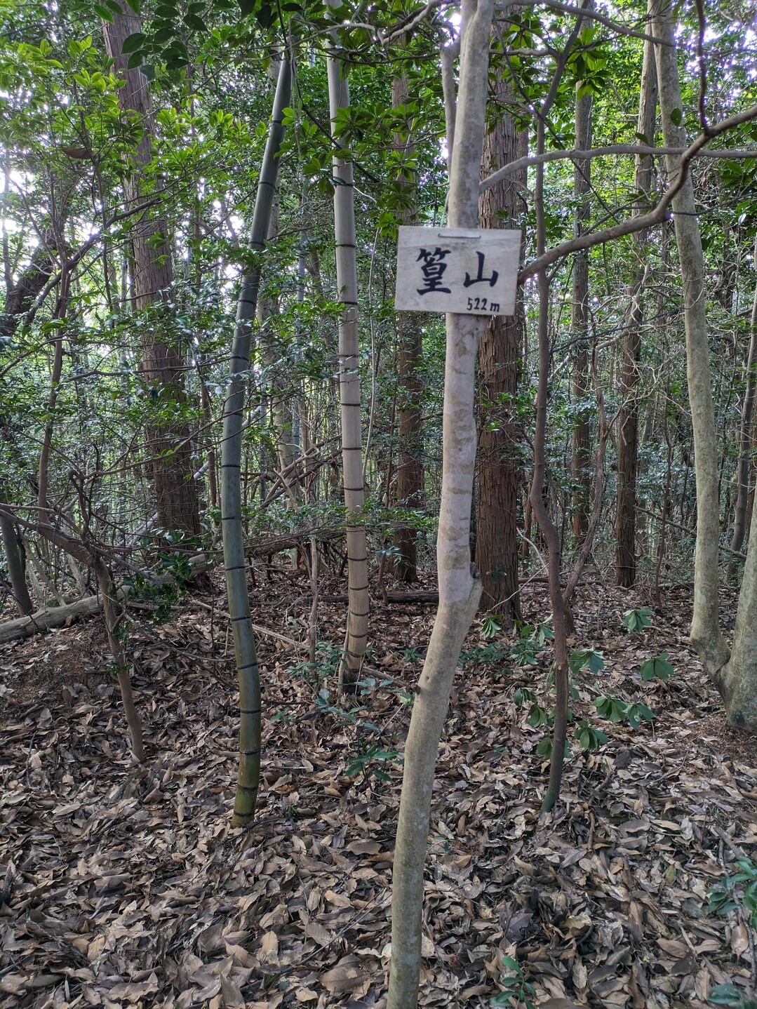 篁山 / 広りんさんの篁山の活動データ YAMAP / ヤマップ