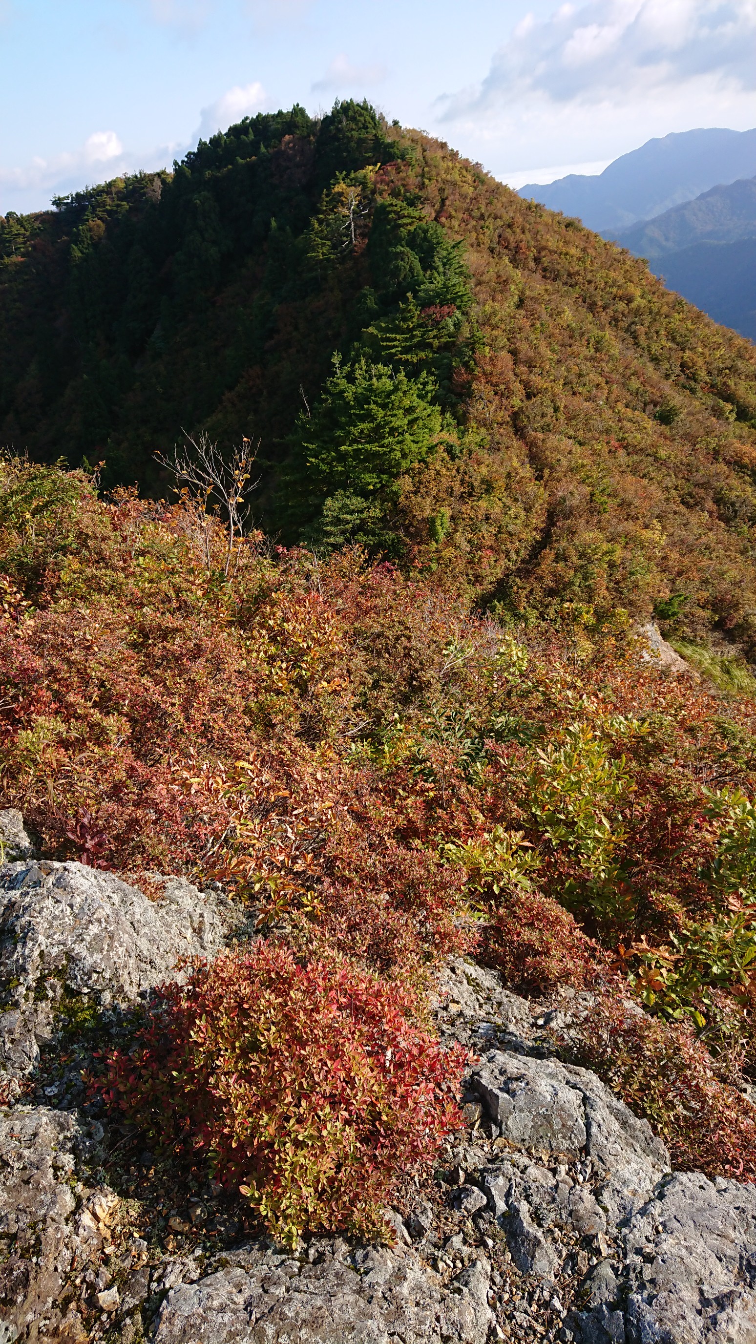 木六山・銀次郎山 間引き２回目