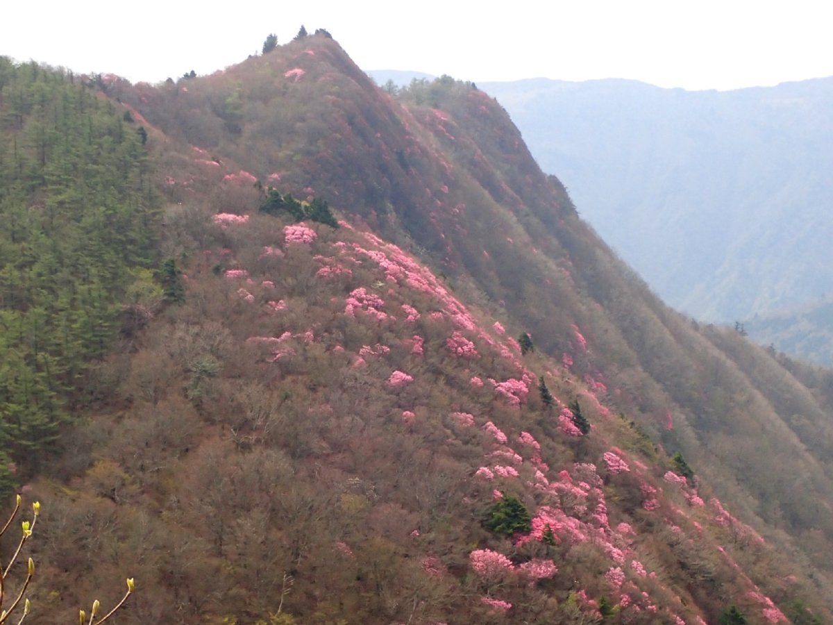 西赤石山 Japaneseclass Jp