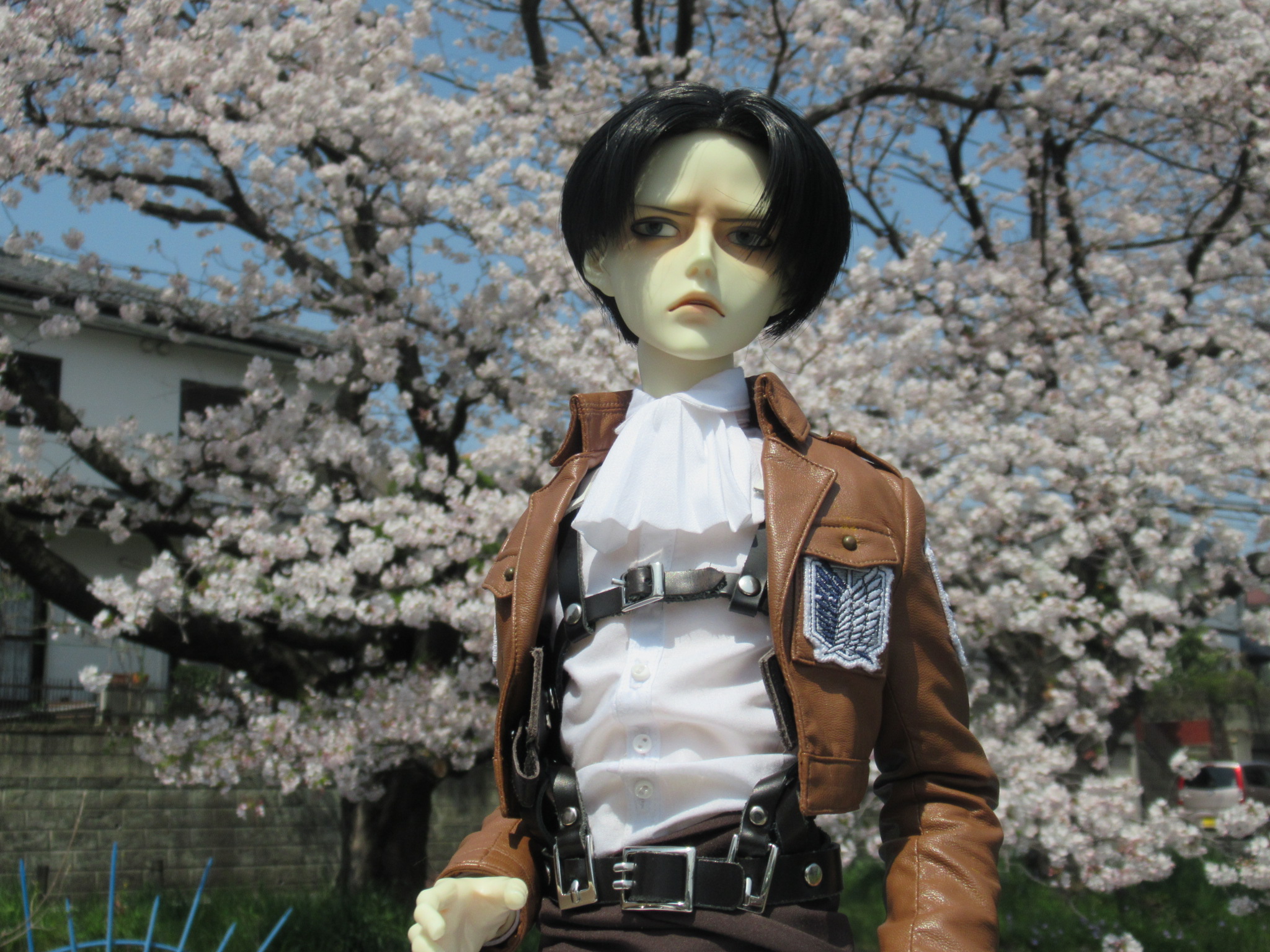 大和ゆとりの森 千本桜 遊びの森 自転車散歩 Ryuyuさんの厚木市の活動日記 Yamap ヤマップ