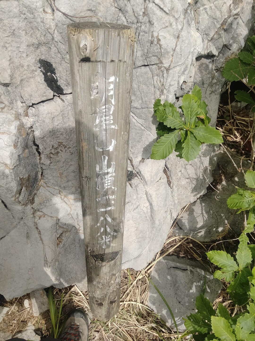 明星山 / TOMOさんの明星山の活動データ YAMAP / ヤマップ