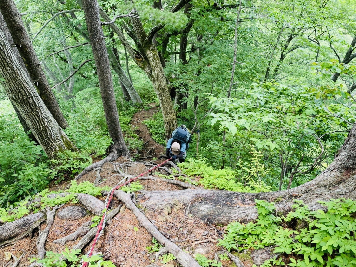 ﾋｨｨｨｨｨｨｨｨ