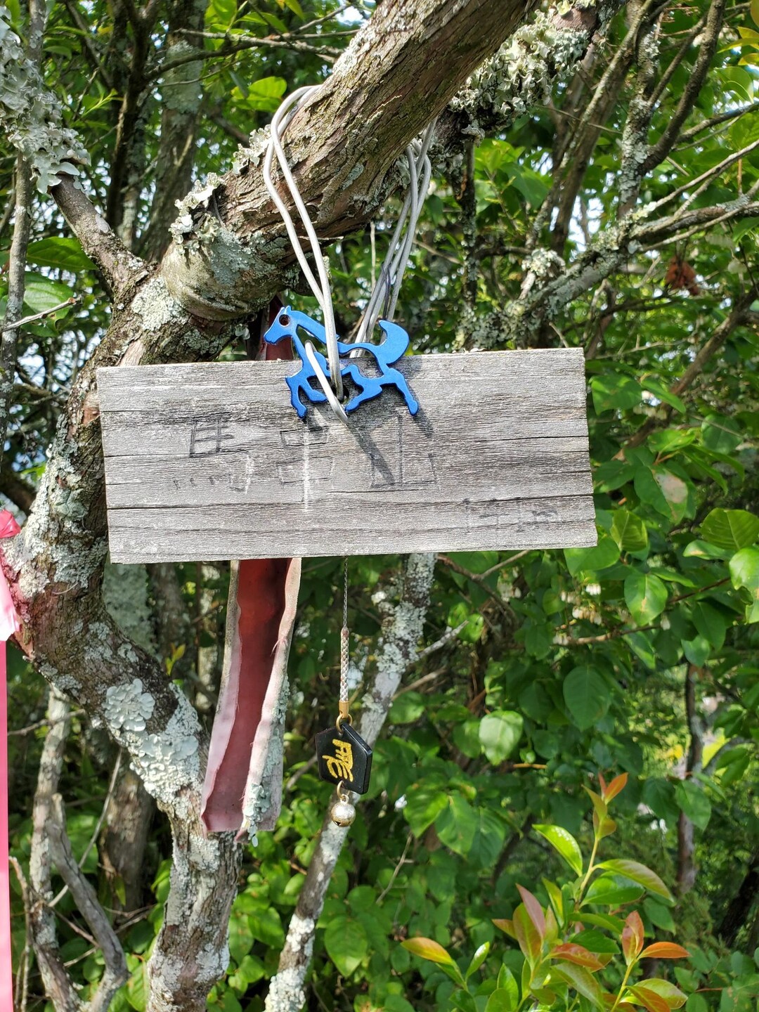 5月26日その1米田白山・馬串山 / マーブルさんの米田白山の活動データ YAMAP / ヤマップ