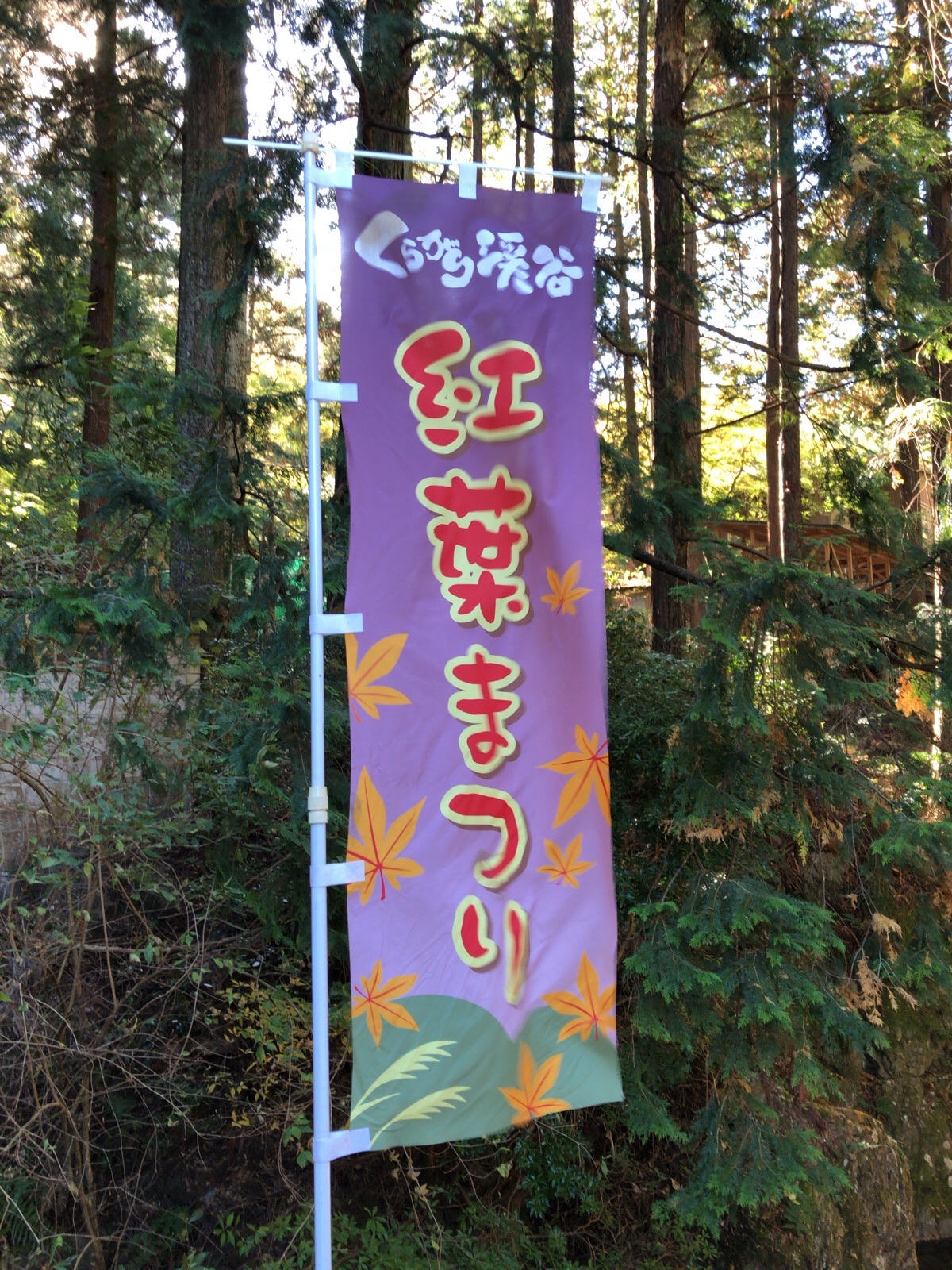 青々の紅葉まつり In くらがり渓谷hk Sagさんの巴山 愛知県 獅子ヶ森 文殊山の活動日記 Yamap ヤマップ