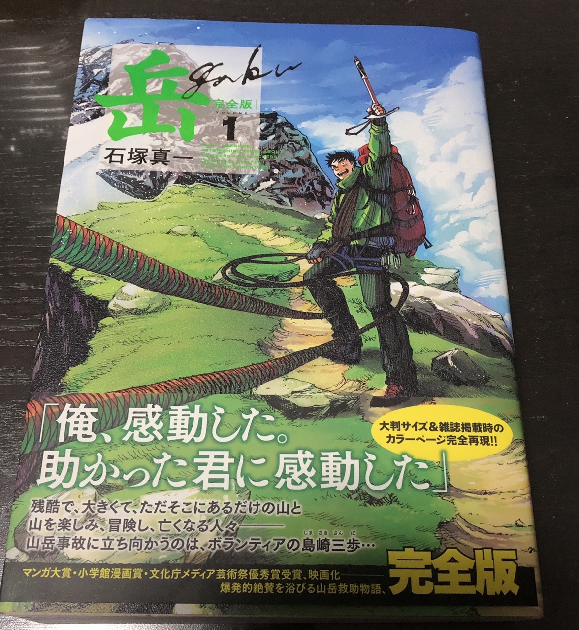 大特価!! 岳 1 〜10巻 nascd.edu.bd