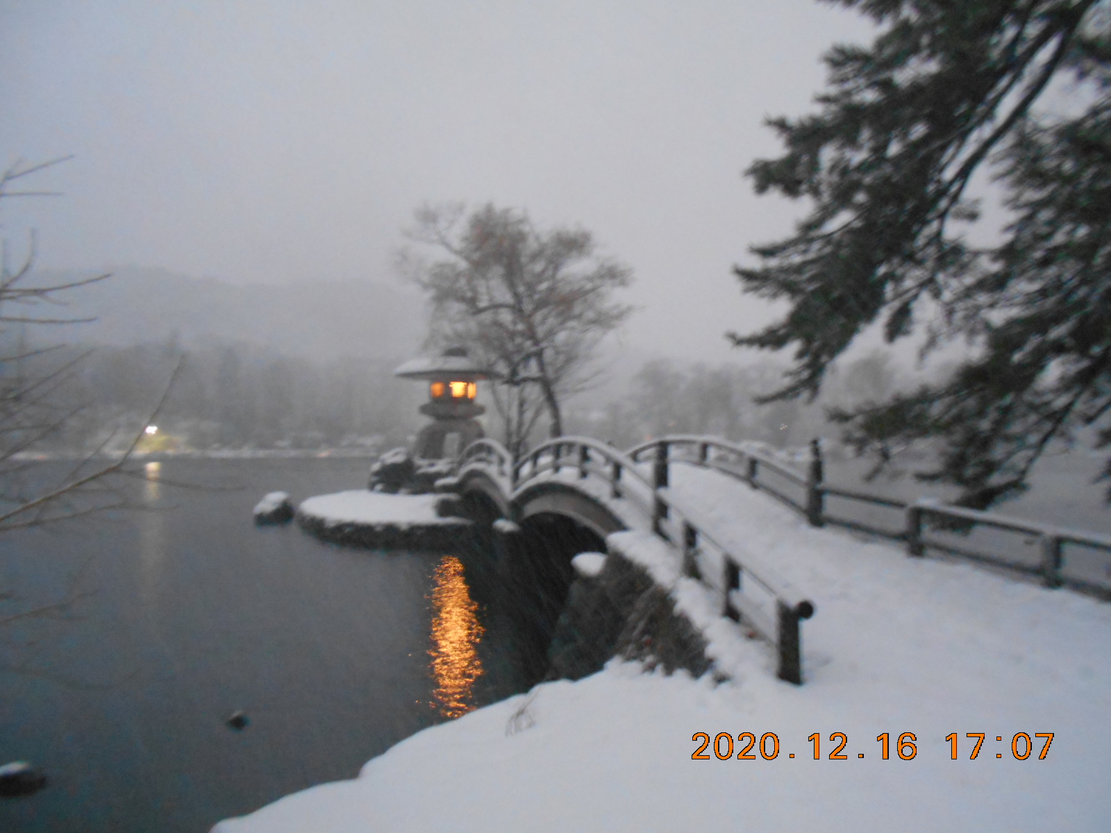 雪降りしきる夕暮間近の三島池 風情のある伊吹山の姿は雪雲の中 たっぷりの積雪 たかさんの鳥羽上山 横山の活動日記 Yamap ヤマップ