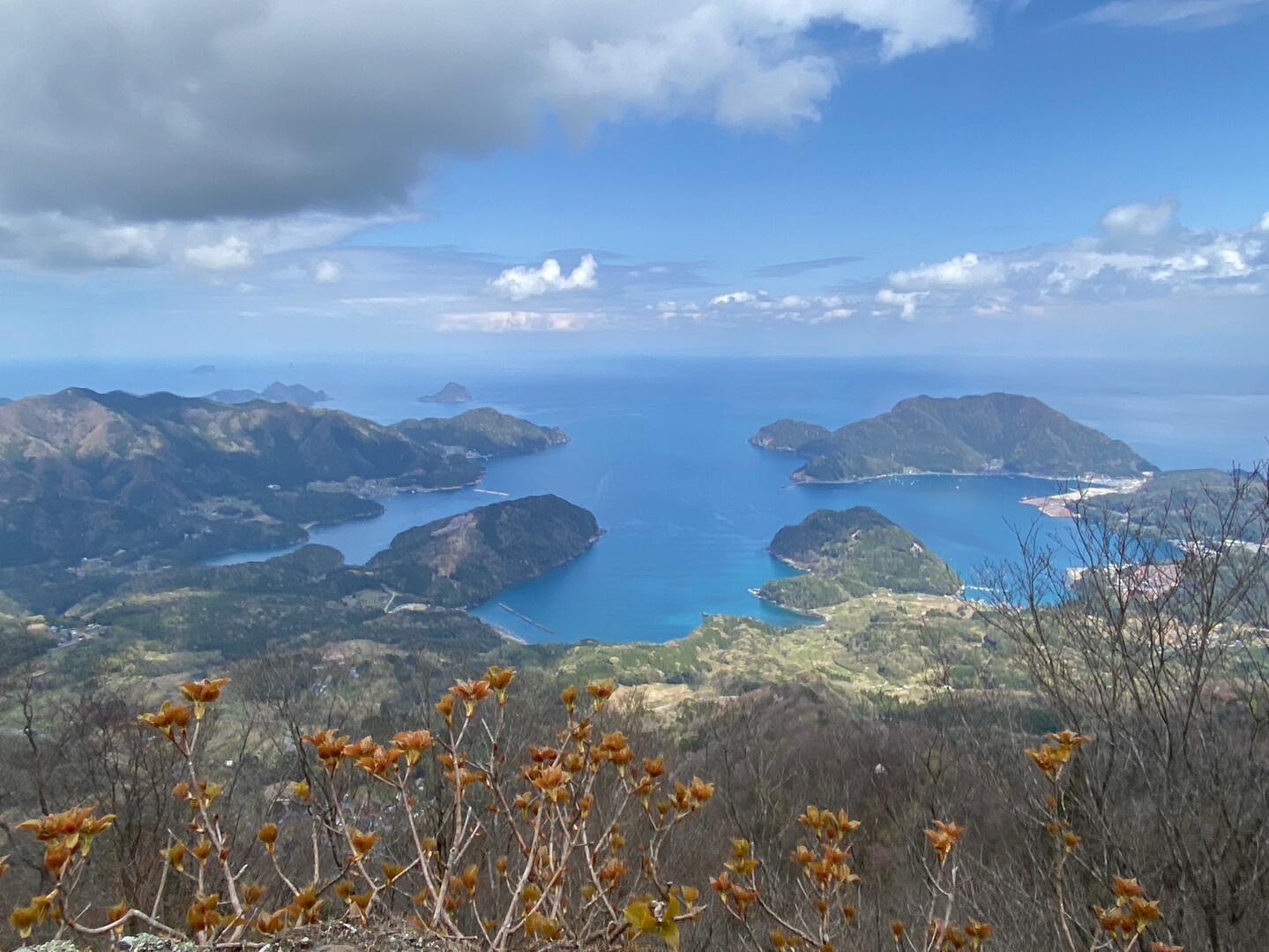 青葉山（京都府・福井県）20200411 / toshiさんの青葉山の活動データ YAMAP / ヤマップ