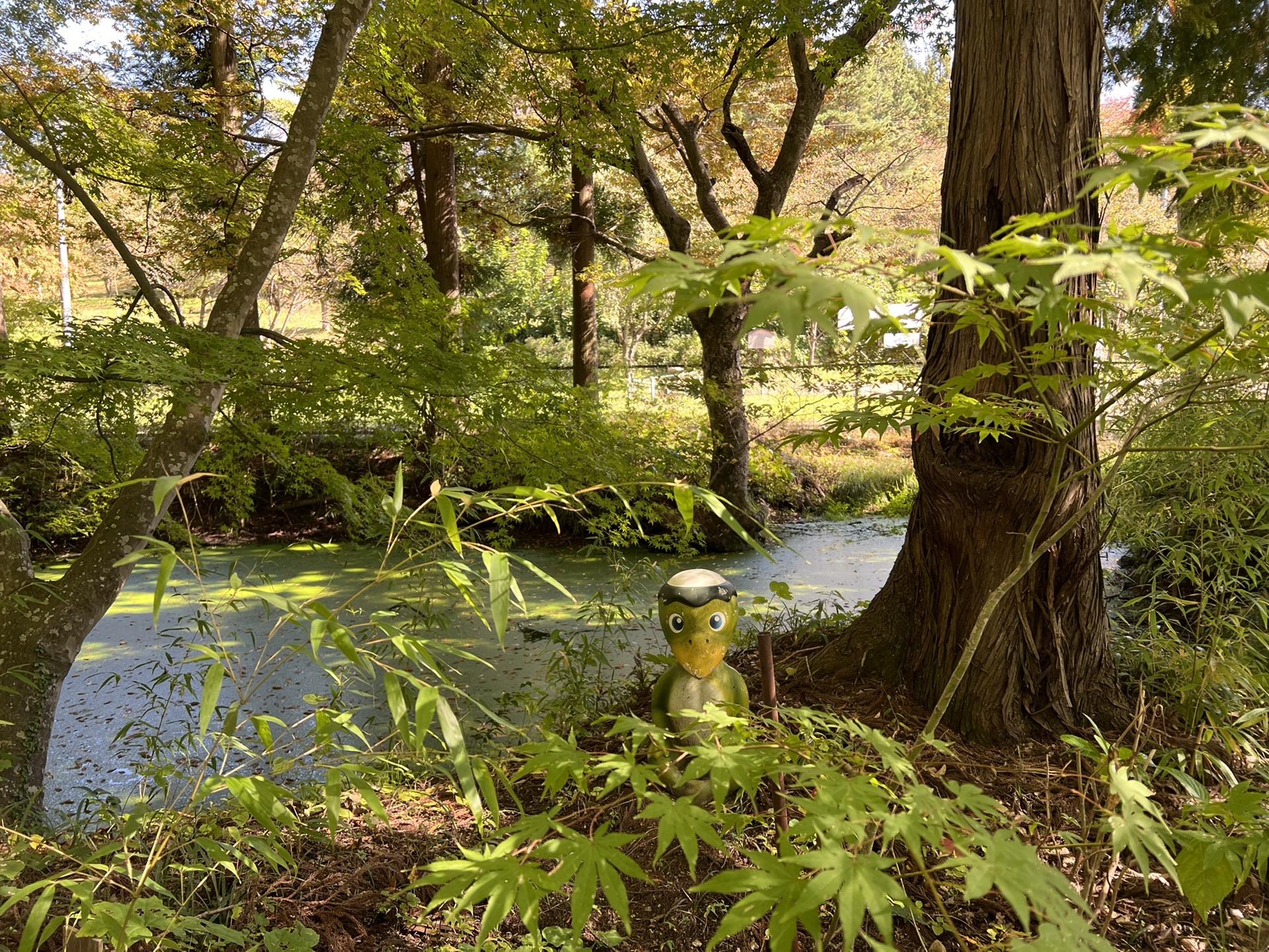 今年最後の最良の日は皆神山✨UFO🛸伝説❓ピラミッド⛰❓ / 香戸