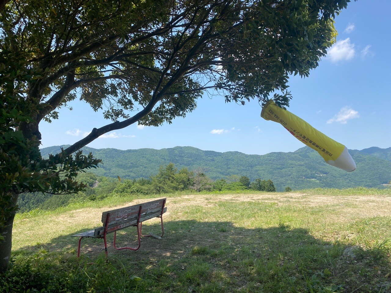 今日のオマケ😗三頭山 / ひろりんさんの竜王山（讃岐山脈）・大川山の活動データ | YAMAP / ヤマップ