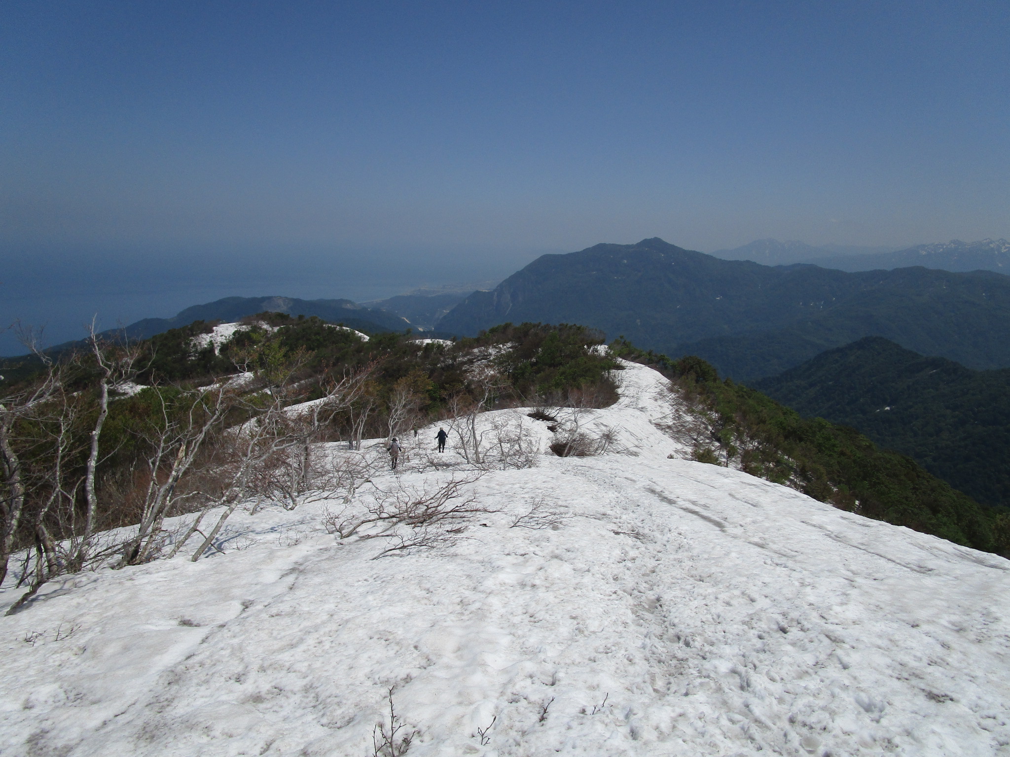 白鳥麗子いなかったけど また来ます 白鳥山 Hideさんの白鳥山 新潟県 富山県 下駒ヶ岳 犬ヶ岳の活動日記 Yamap ヤマップ