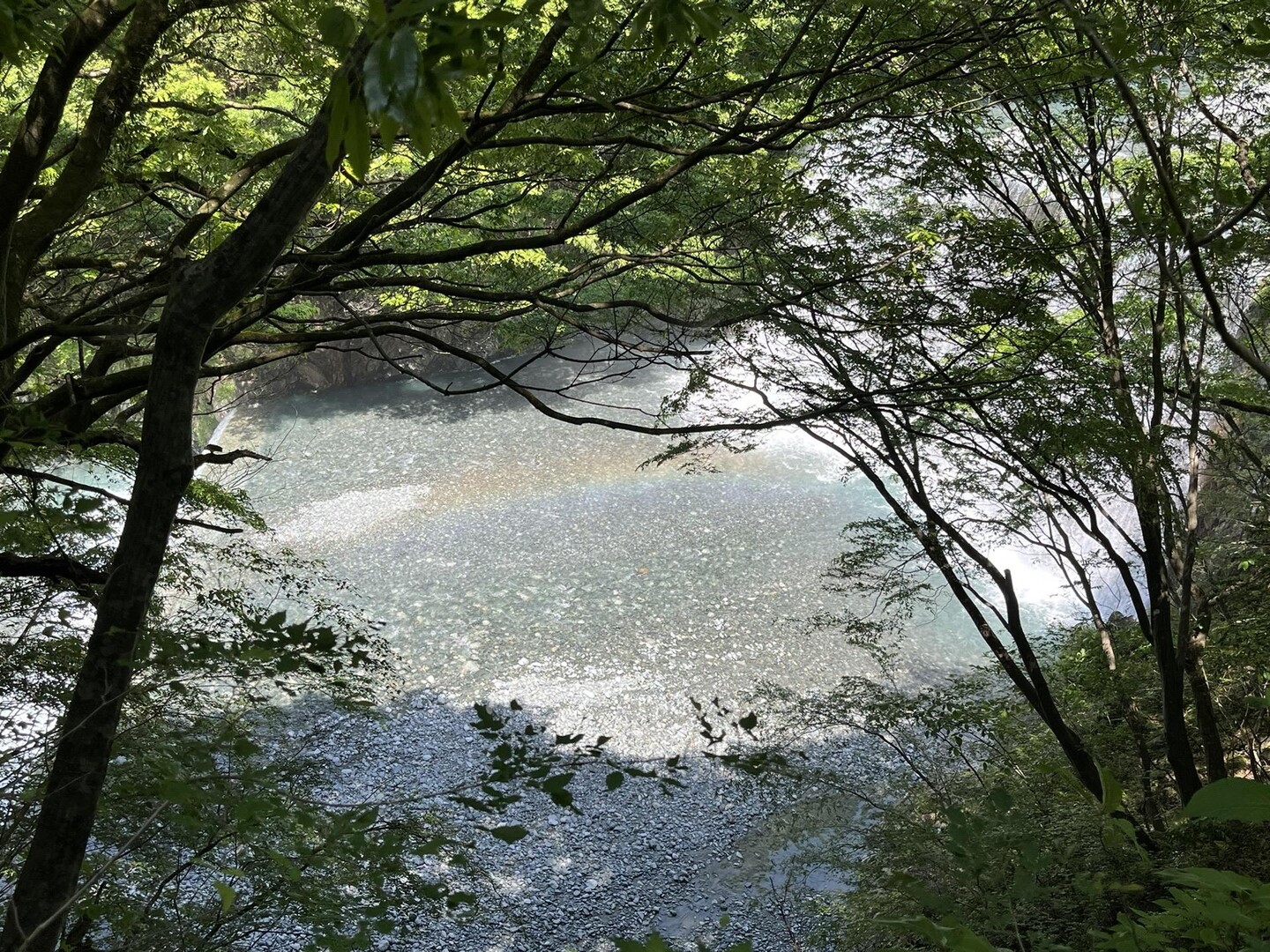 西丹沢県民の森、ユーシン渓谷20230518 / れだらさんのウォーキングの活動データ YAMAP / ヤマップ