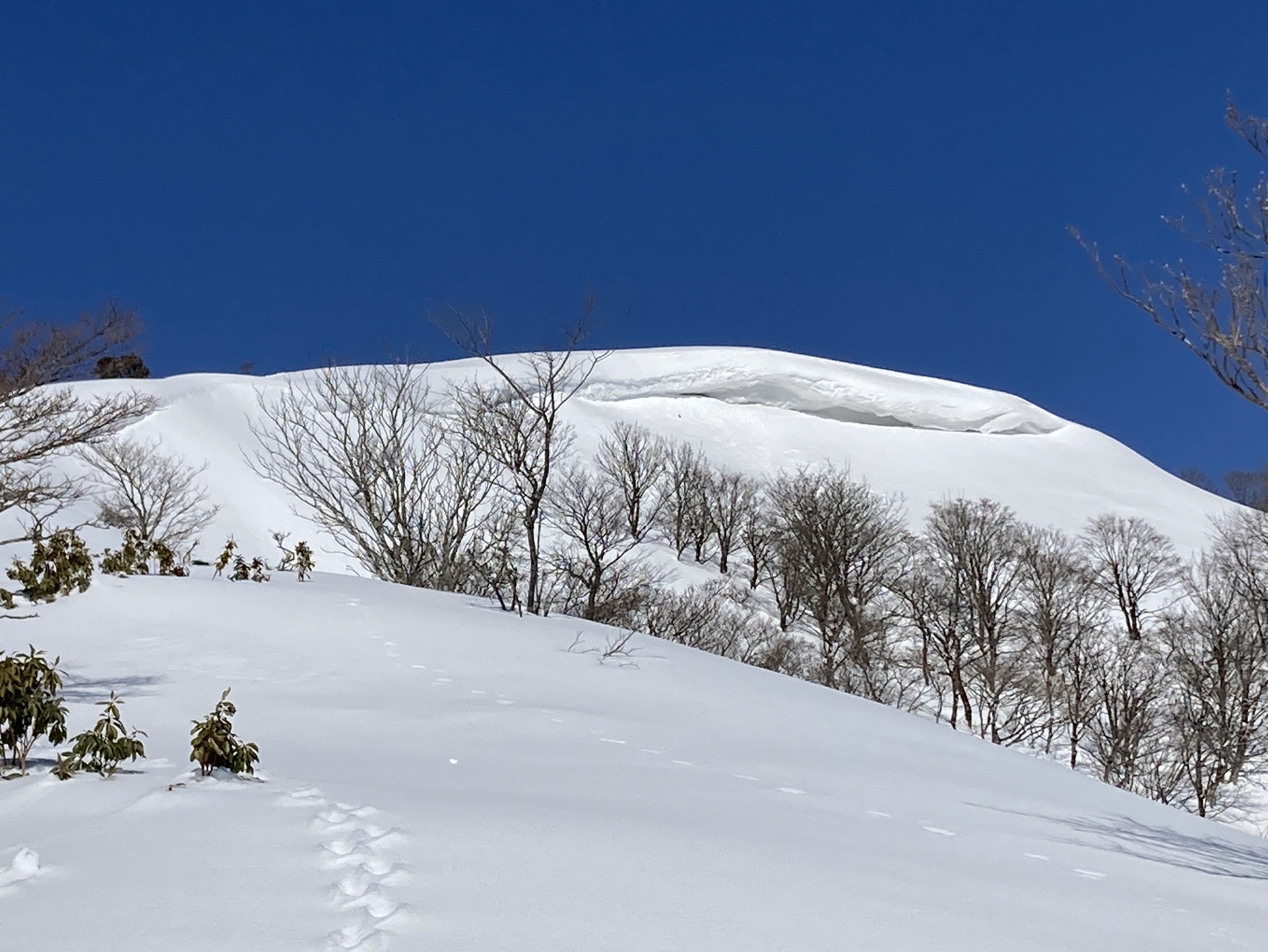 比良山系 権現山 ホッケ山 Hayabusa02さんの比良山地 武奈ヶ岳 釈迦岳の活動データ Yamap ヤマップ