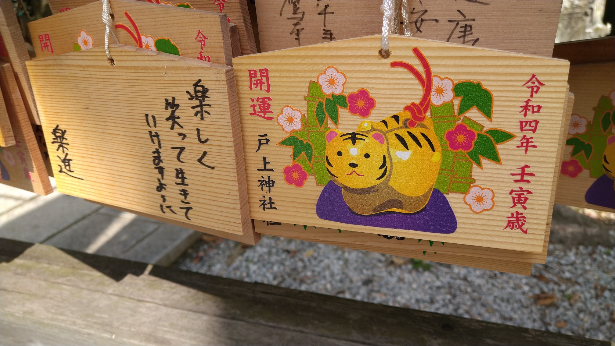 城山(猿喰城跡)、戸ノ上山(2022.8.14)[8時50分〜13時30分] / ホリケンさんの足立山・戸ノ上山の活動データ YAMAP