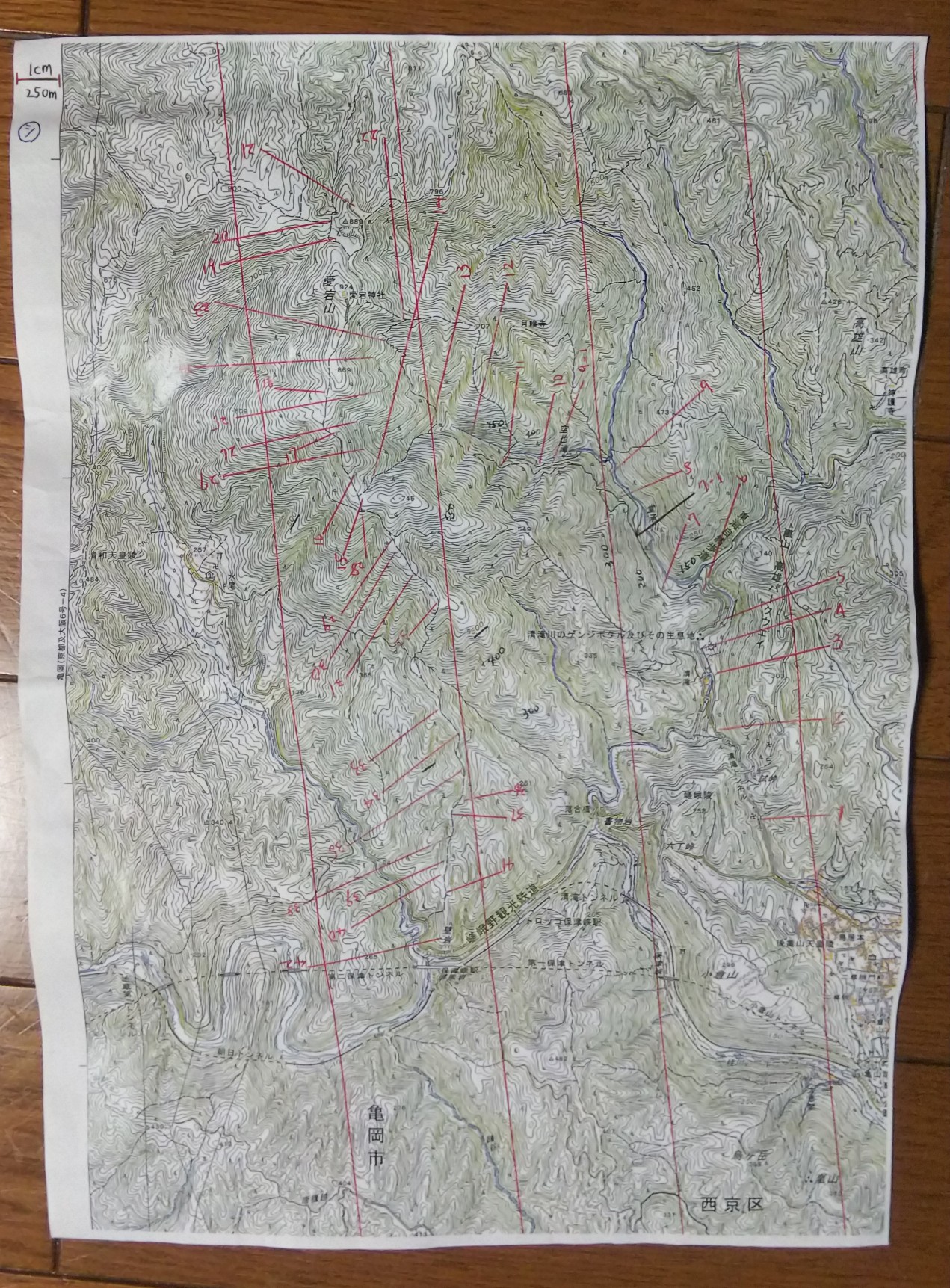 読図ステップアップ企画 第3回 地形図 を使用した地図読みトレーニング山行 山アプリとの併用 紙とデジタルを活用した読図企画 愛宕山 大杉谷ルート 表参道 愛宕スカイライン ツツジ尾根ルート プチマイナー バリルート有り Shimoさんの愛宕山 三