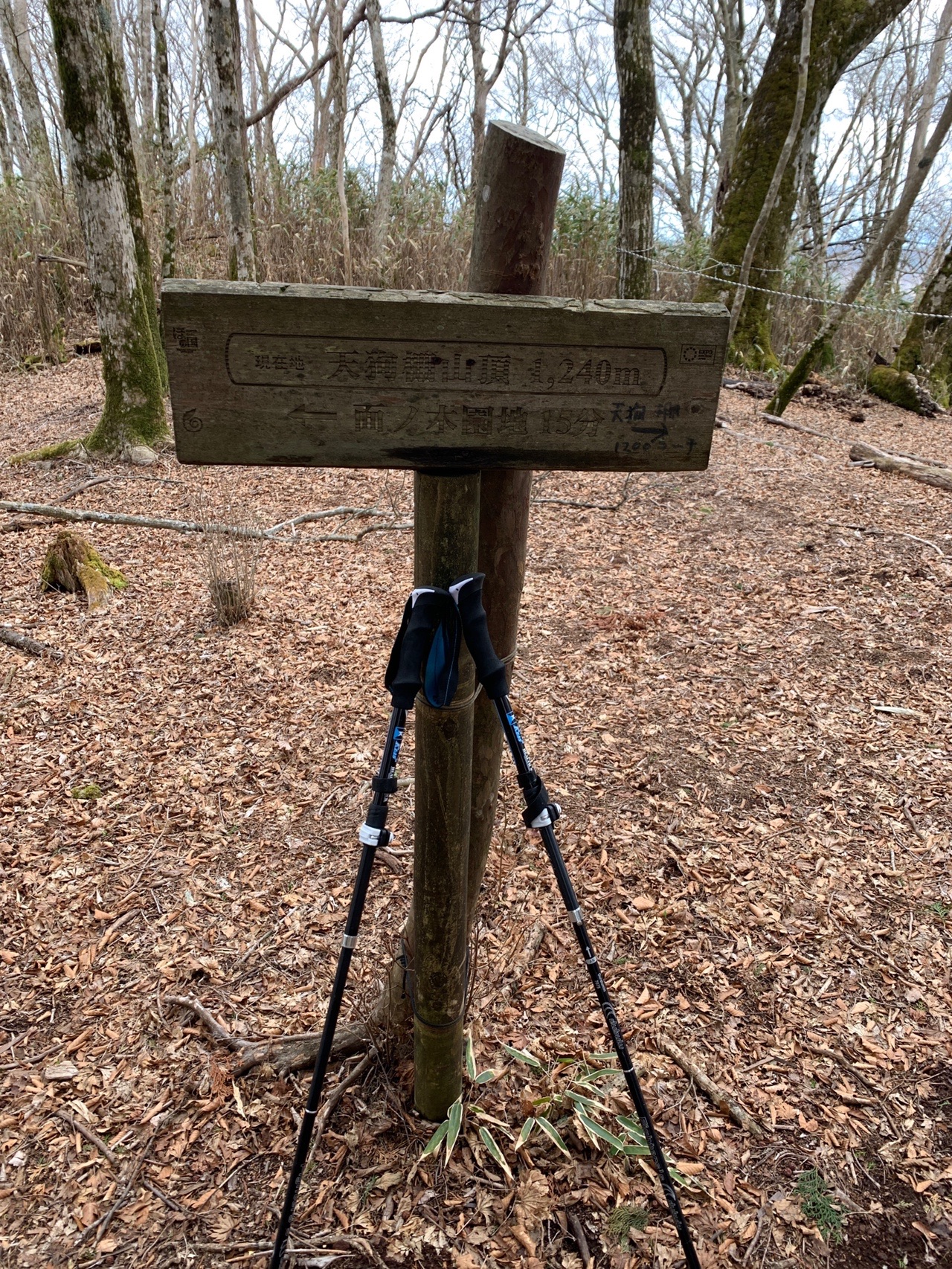 今日の天狗棚・1200高地(天狗ノ奥山)⛰🚙🙂 / 2ganka6さんの天狗棚・1200高地（天狗ノ奥山）・碁盤石山の活動データ