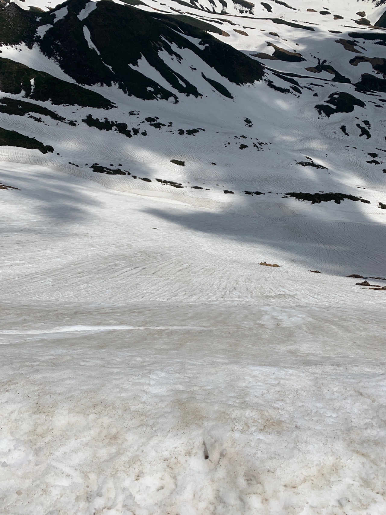 鳥海山 七高山 笙ヶ岳 05 31 Haruちゃんmenさんの鳥海山 七高山 笙ヶ岳の活動データ Yamap ヤマップ