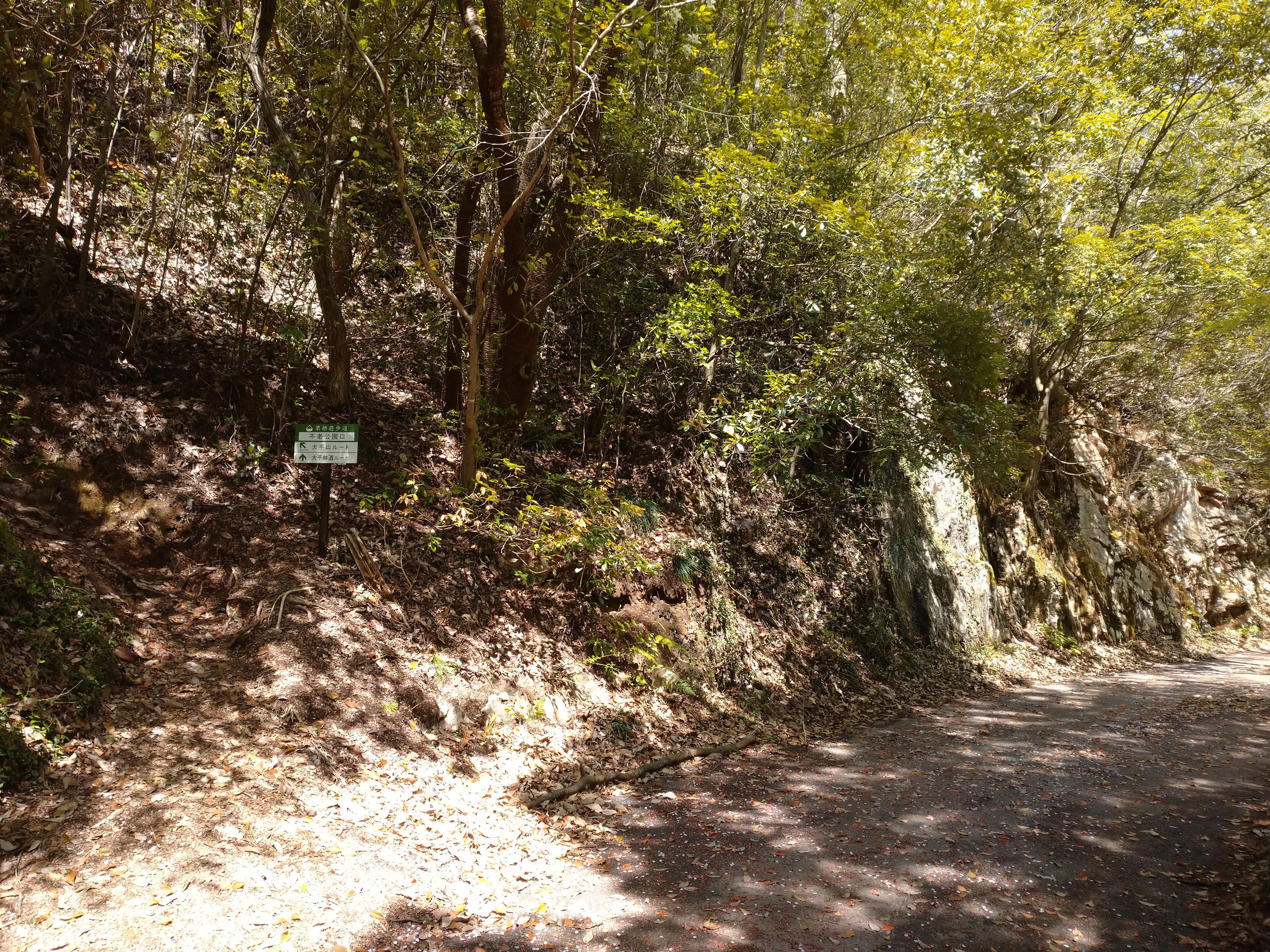 大平山 東山 愛知県犬山市 謎の尾根コースが気になって 笑 Tamuroさんの鳩吹山の活動日記 Yamap ヤマップ