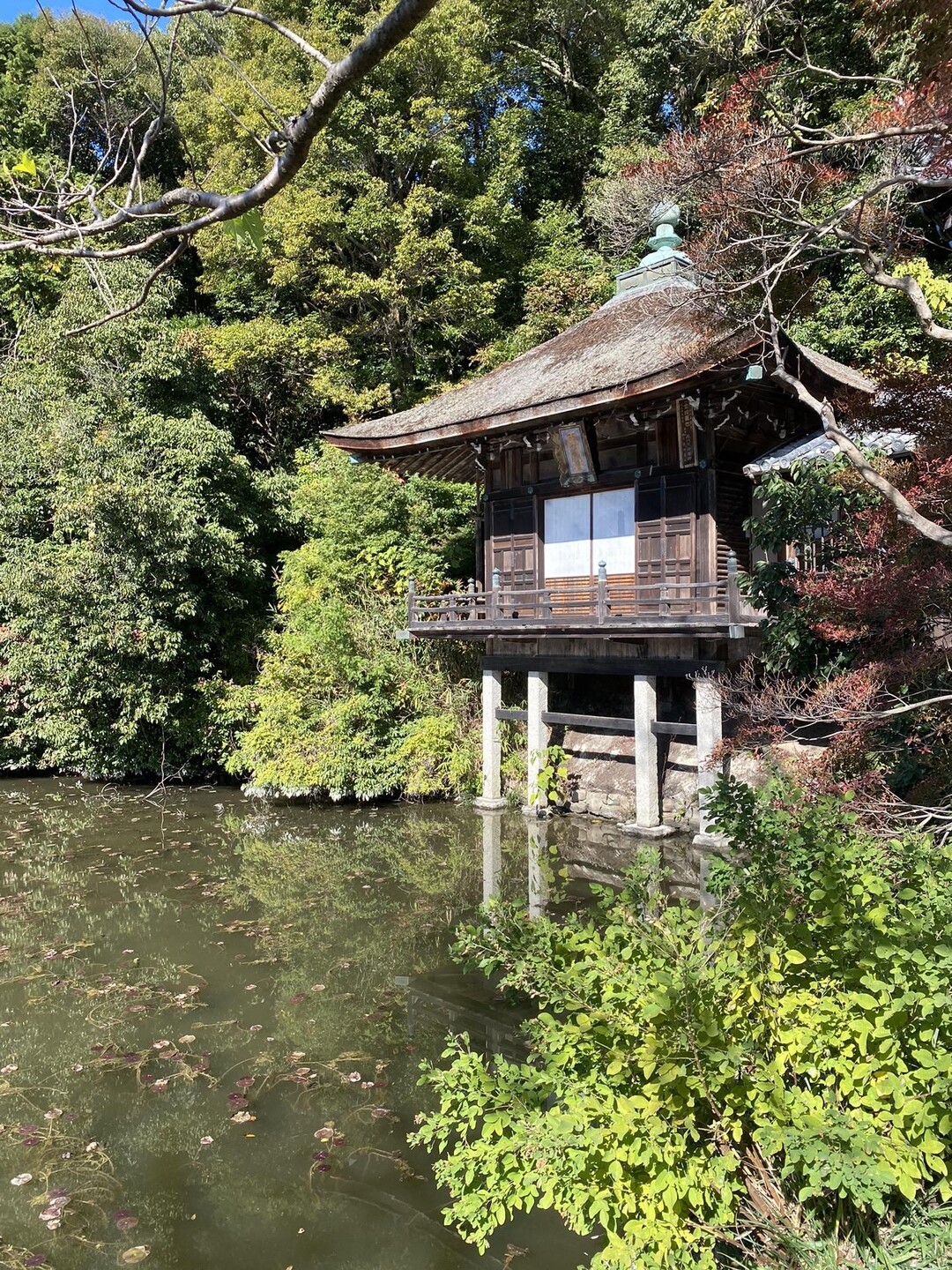 根来寺からげんきの森経由、後山、梵天山。上朽仏山はどうやって行くのか分からず再度挫折。 / やっさんさんの葛城修験エリアマップ（友ヶ島～和泉