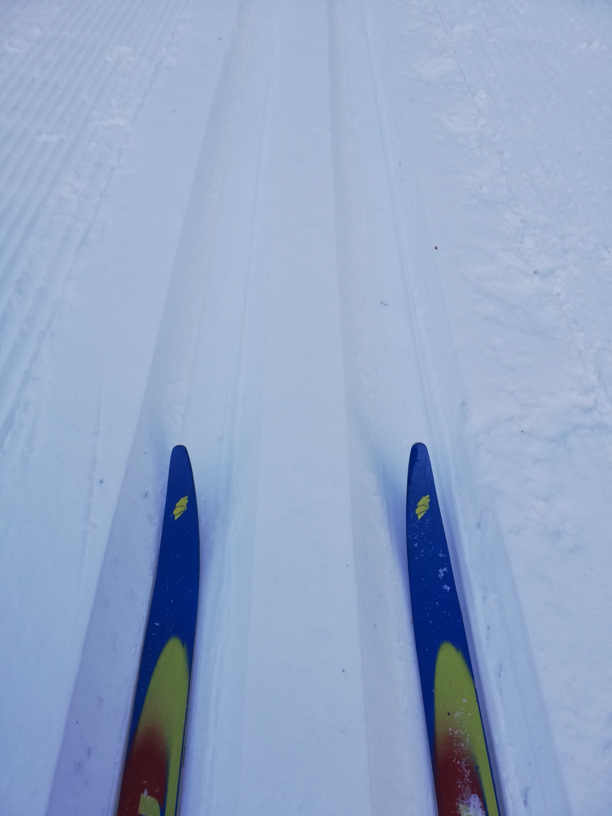 人生初 クロスカントリースキー それはとっても危険なスポーツ ちゃーちゃんさんの野牛山 島松山 北広山の活動データ Yamap ヤマップ