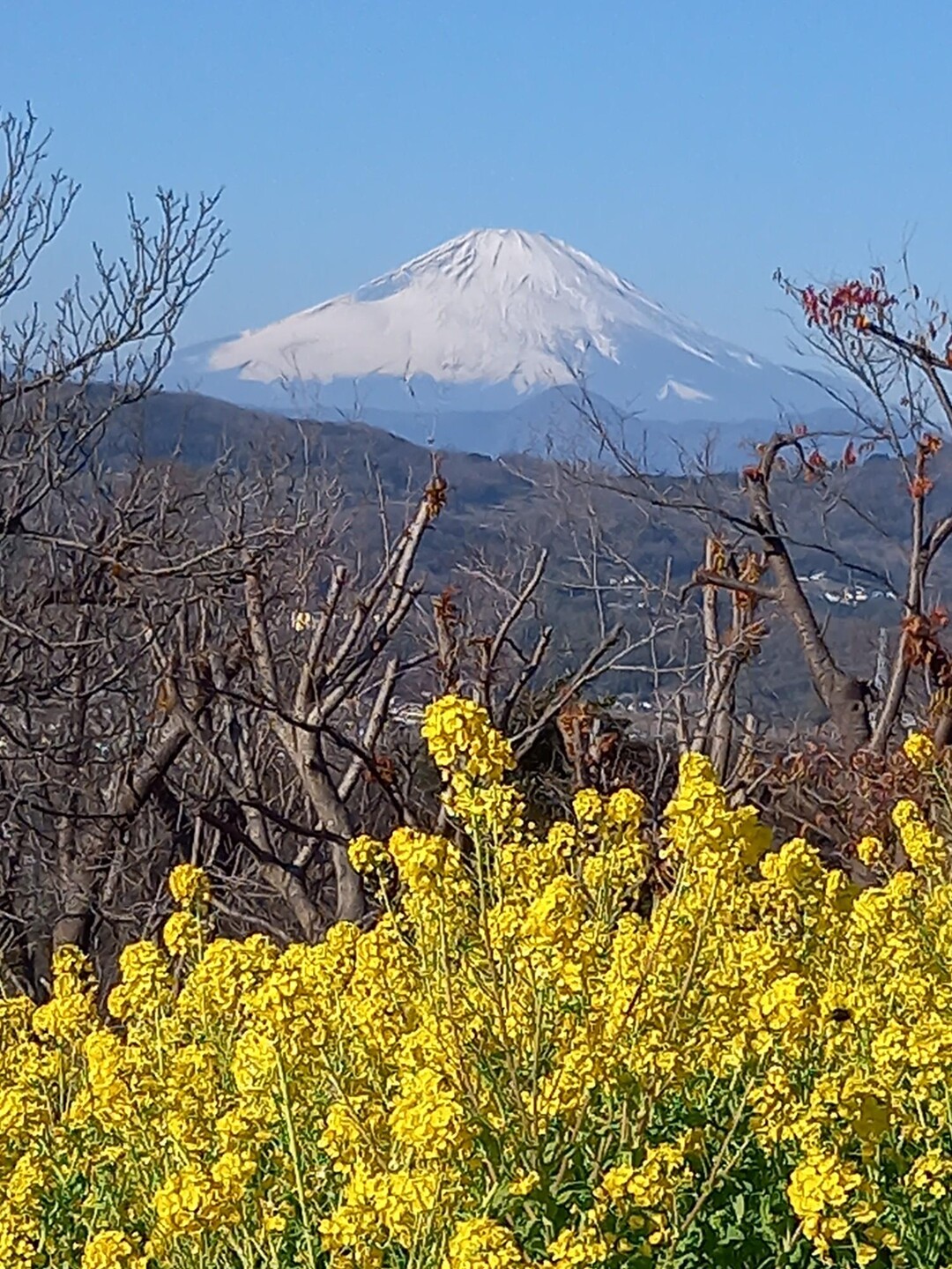 二宮町吾妻山へ